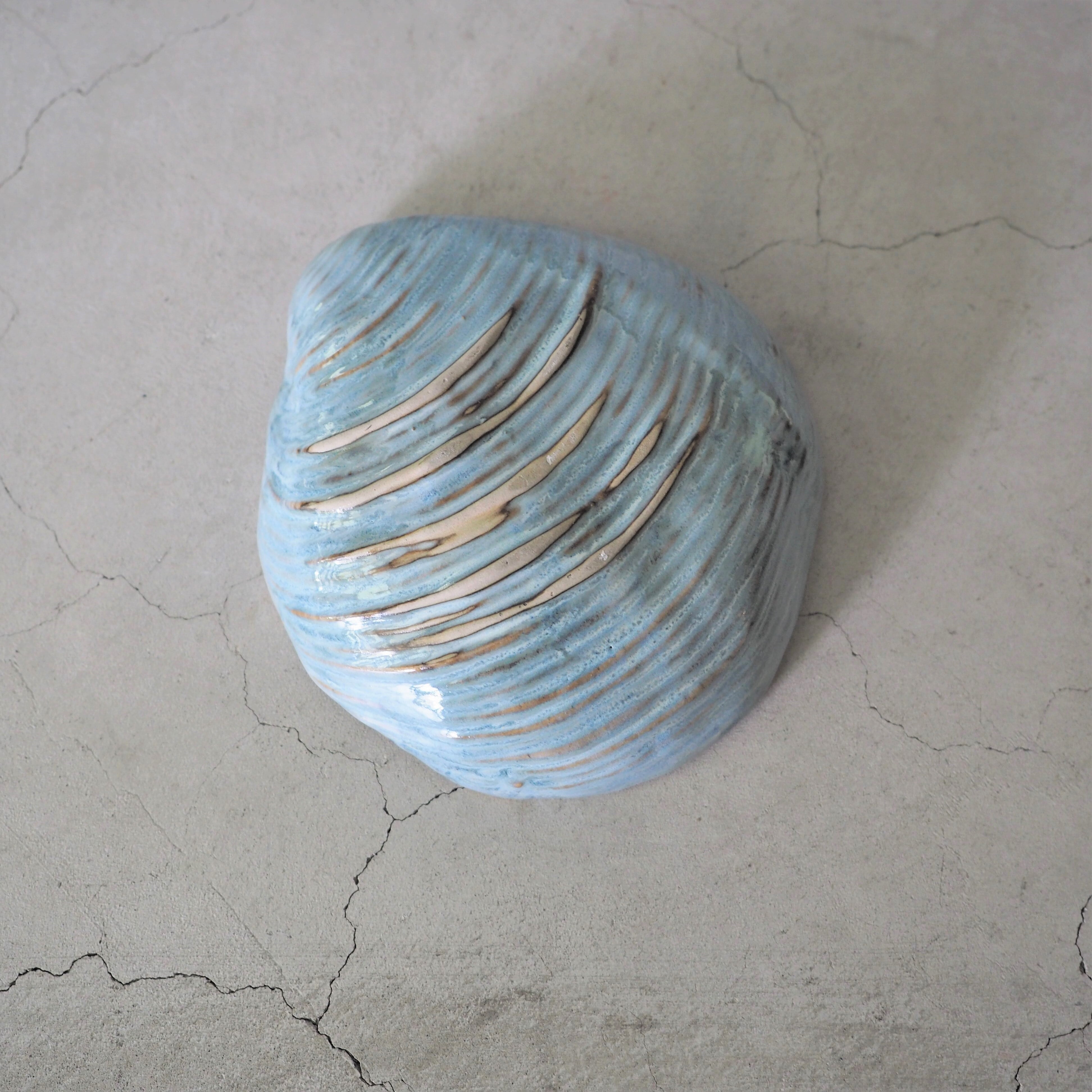 Shell Dish M OCT-051