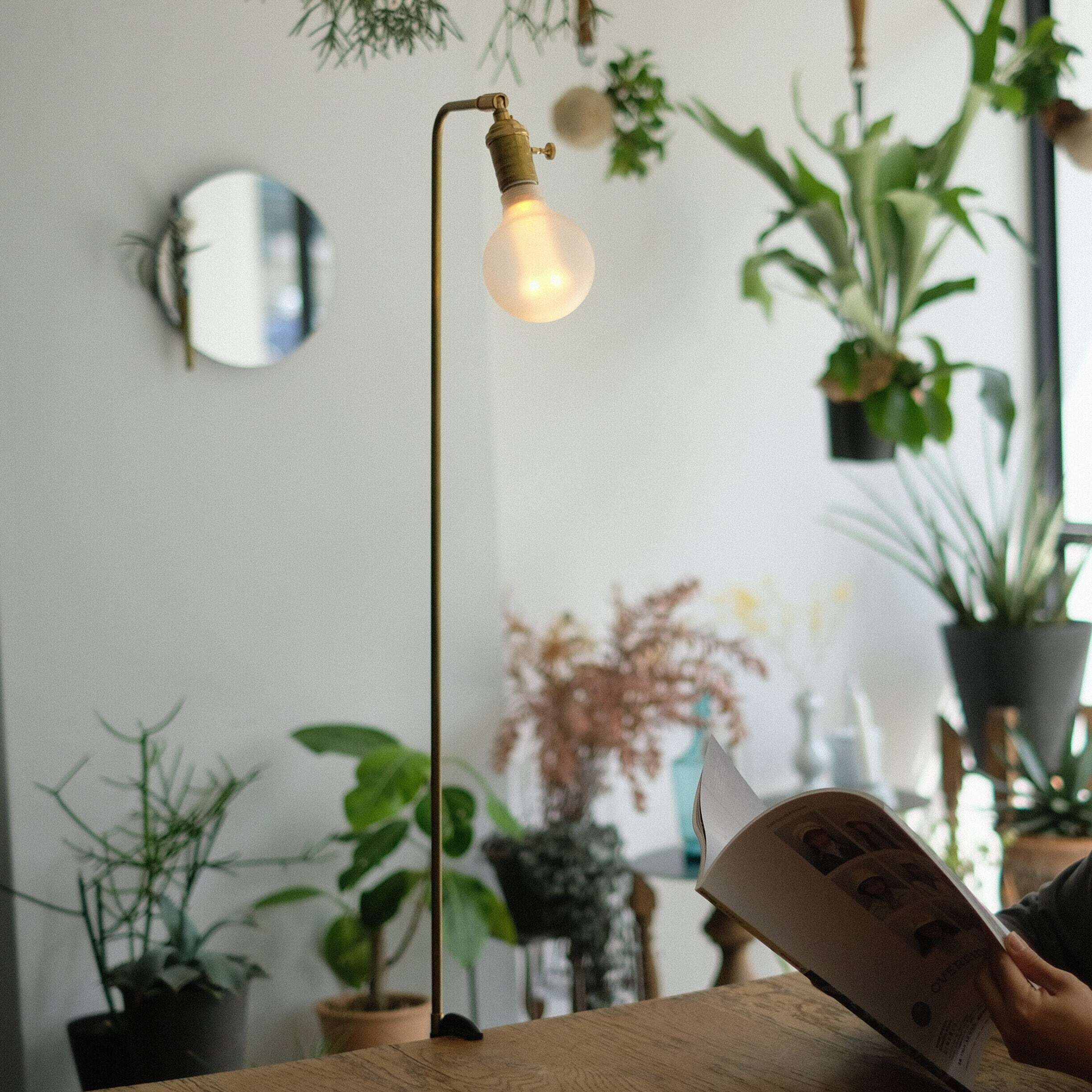BARDEN Clamp Lamp