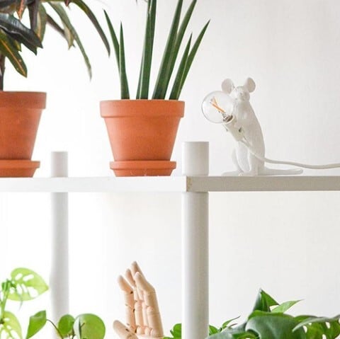 Mouse Lamp シッティング