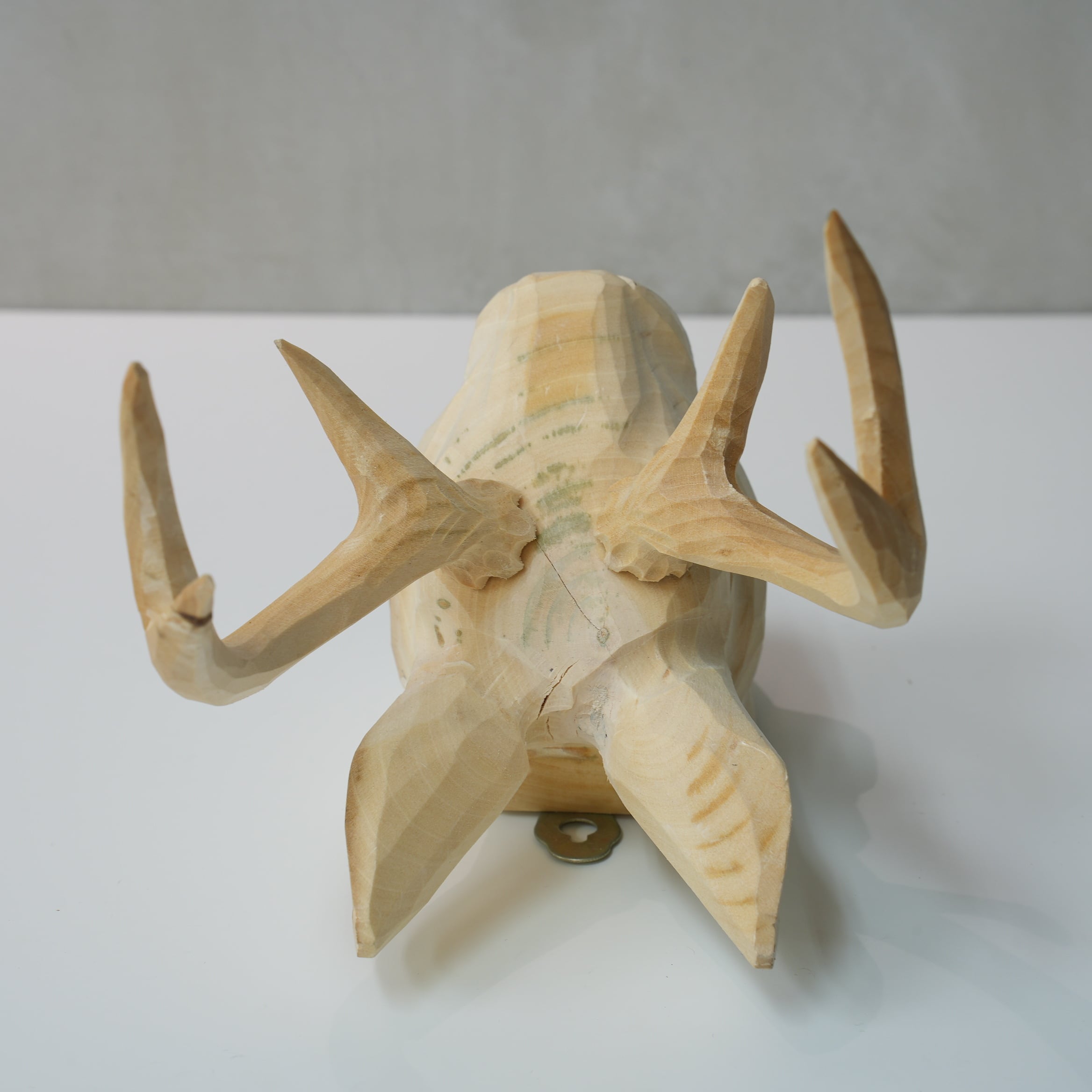 Wooden Animal Head / Jackalope