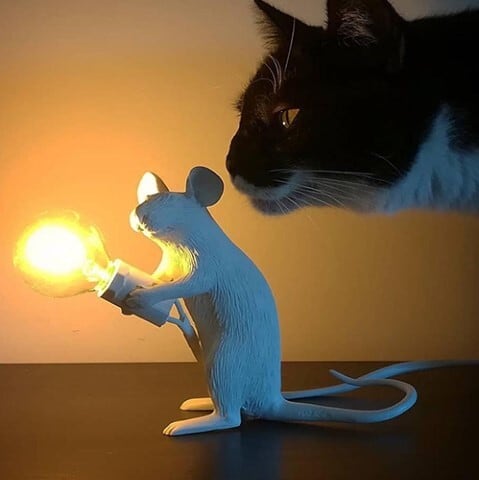 Mouse Lamp シッティング