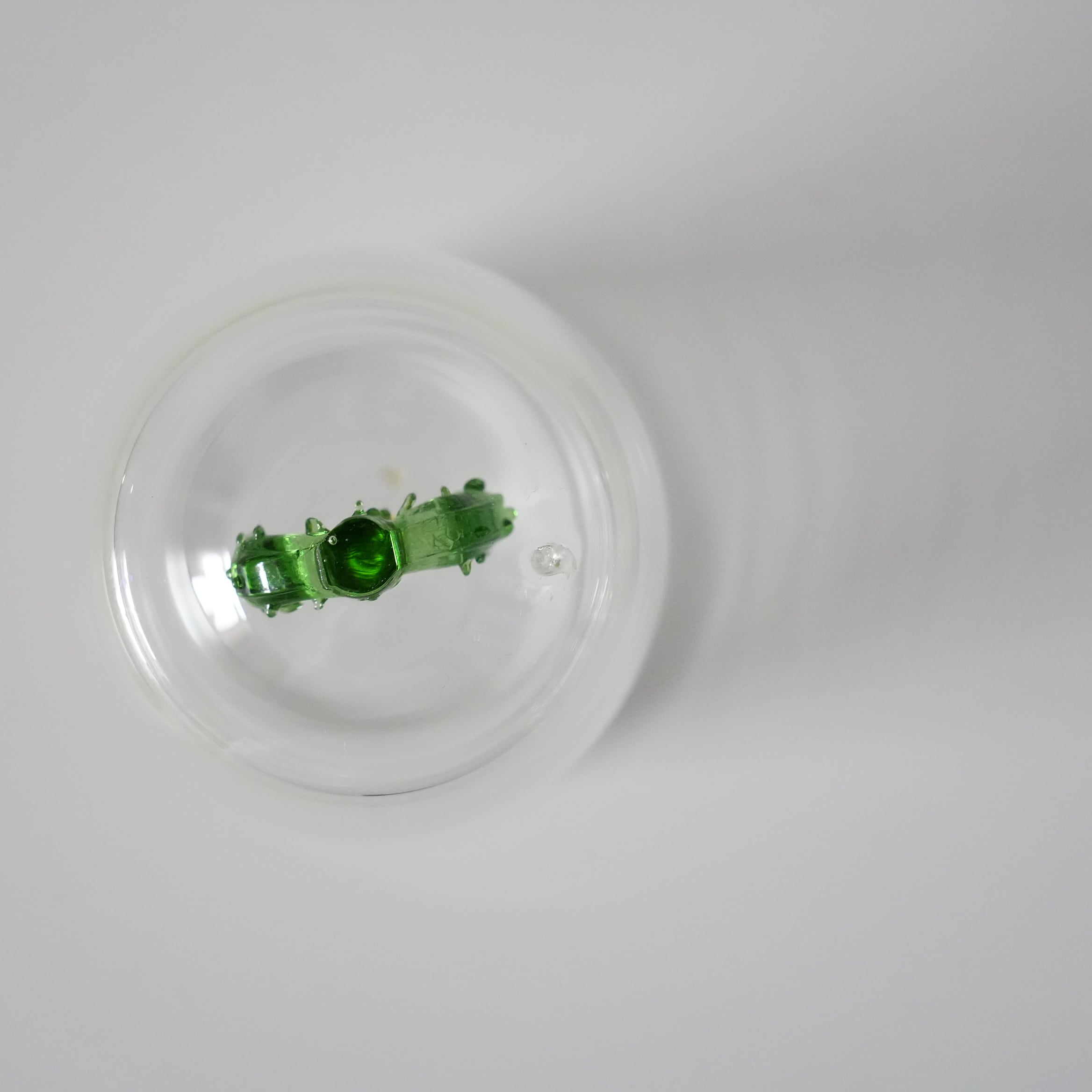 Double Wall Glass Tumbler