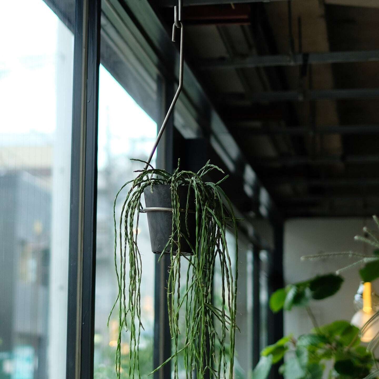 PLOP Hanging Holder M