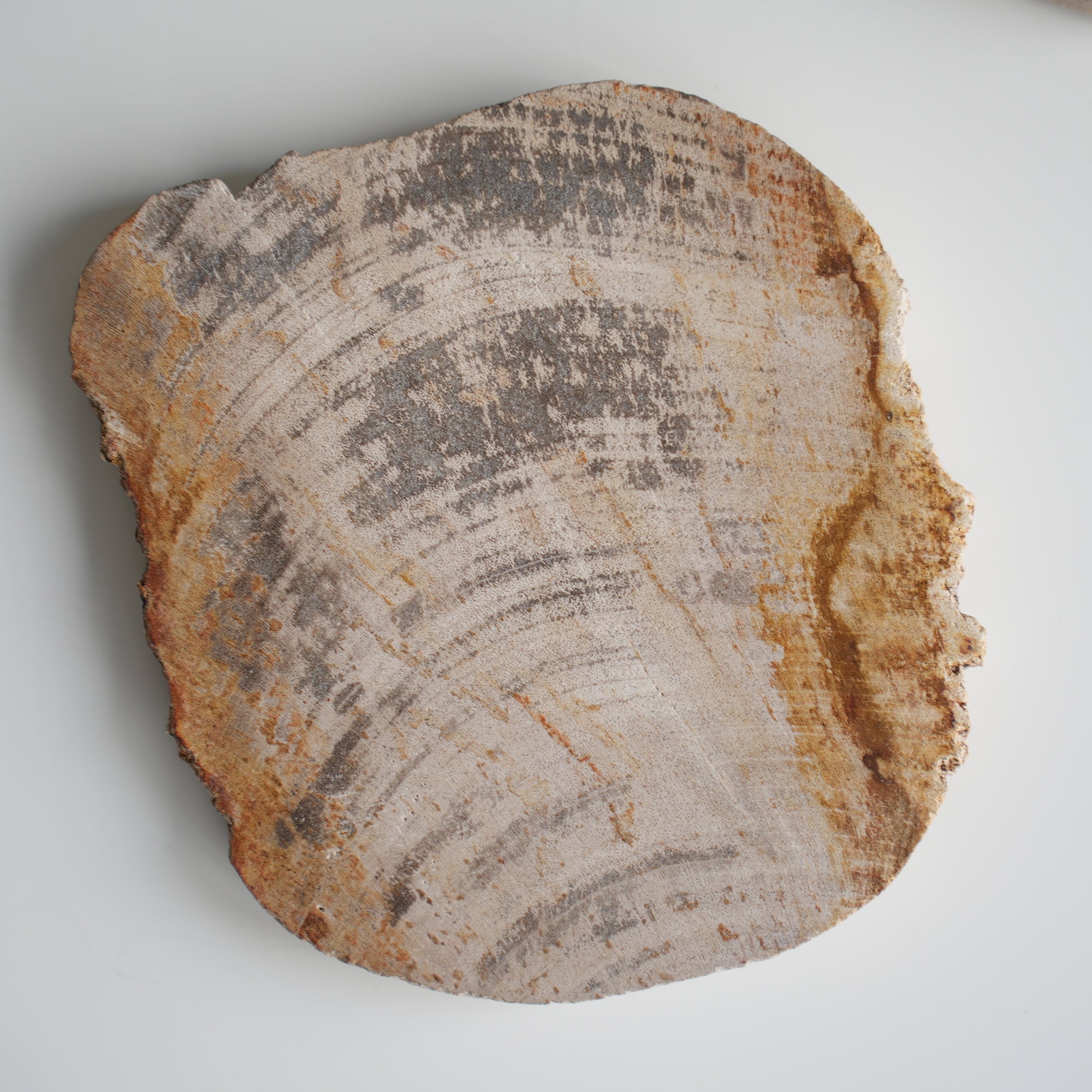 Wood Coaster Natural