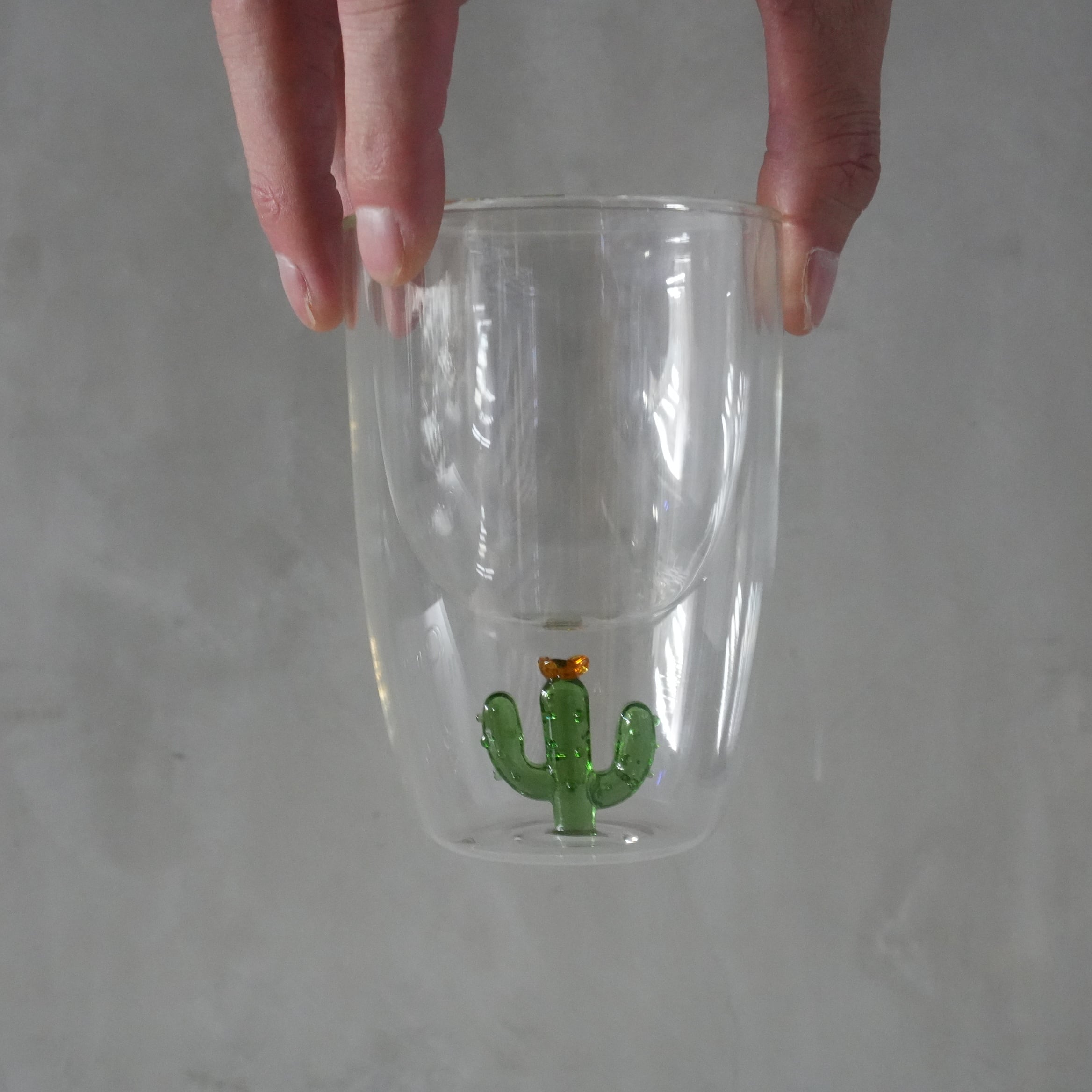 Double Wall Glass Tumbler