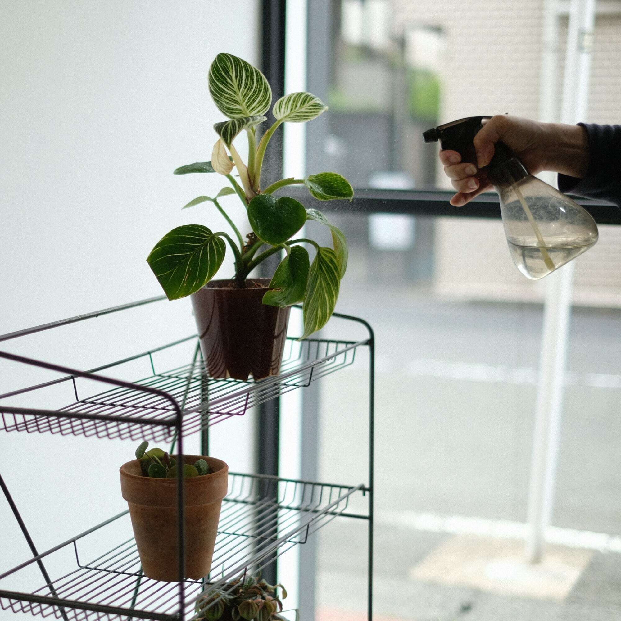 HABANA Folding Shelf LL