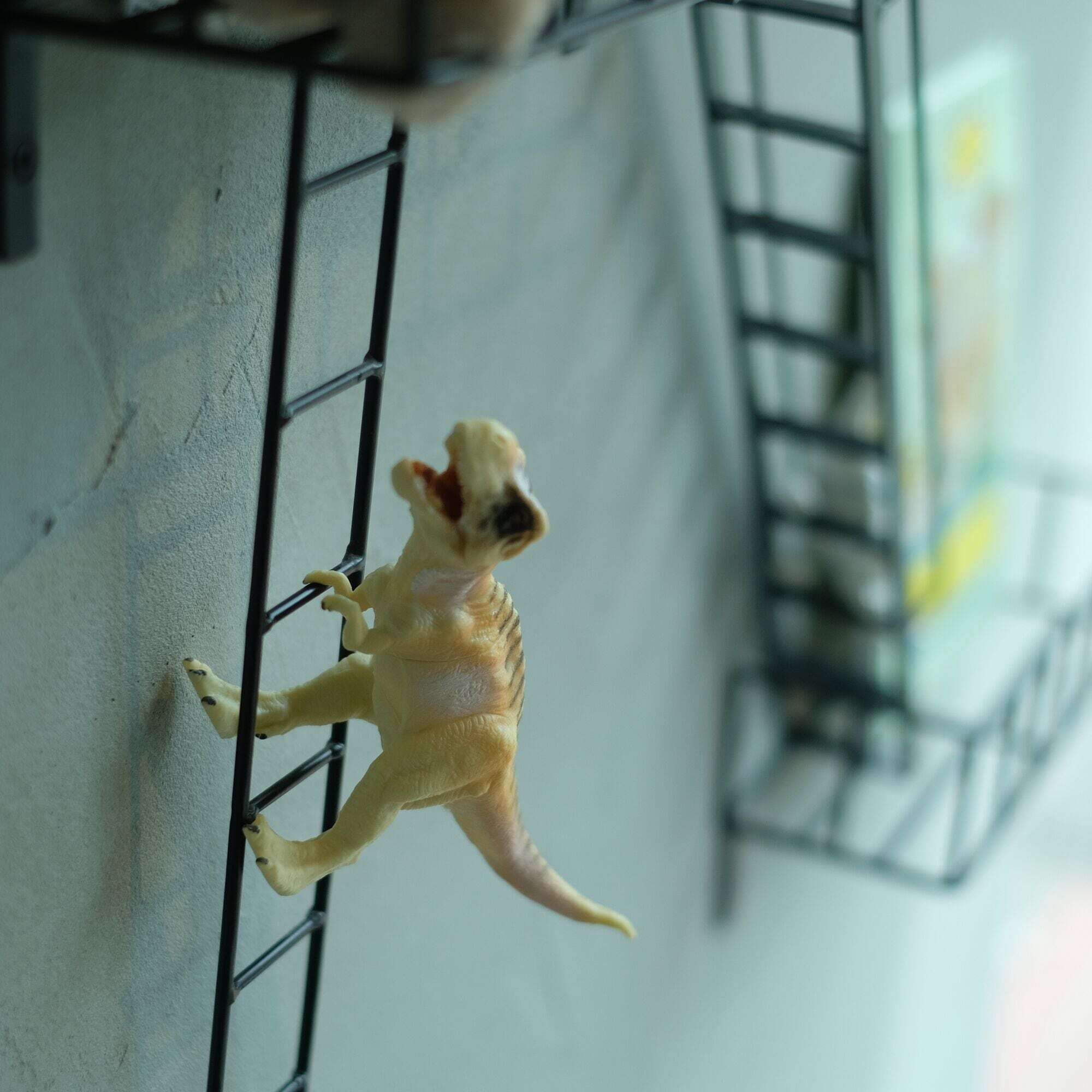 FIRE ESCAPE Ladder