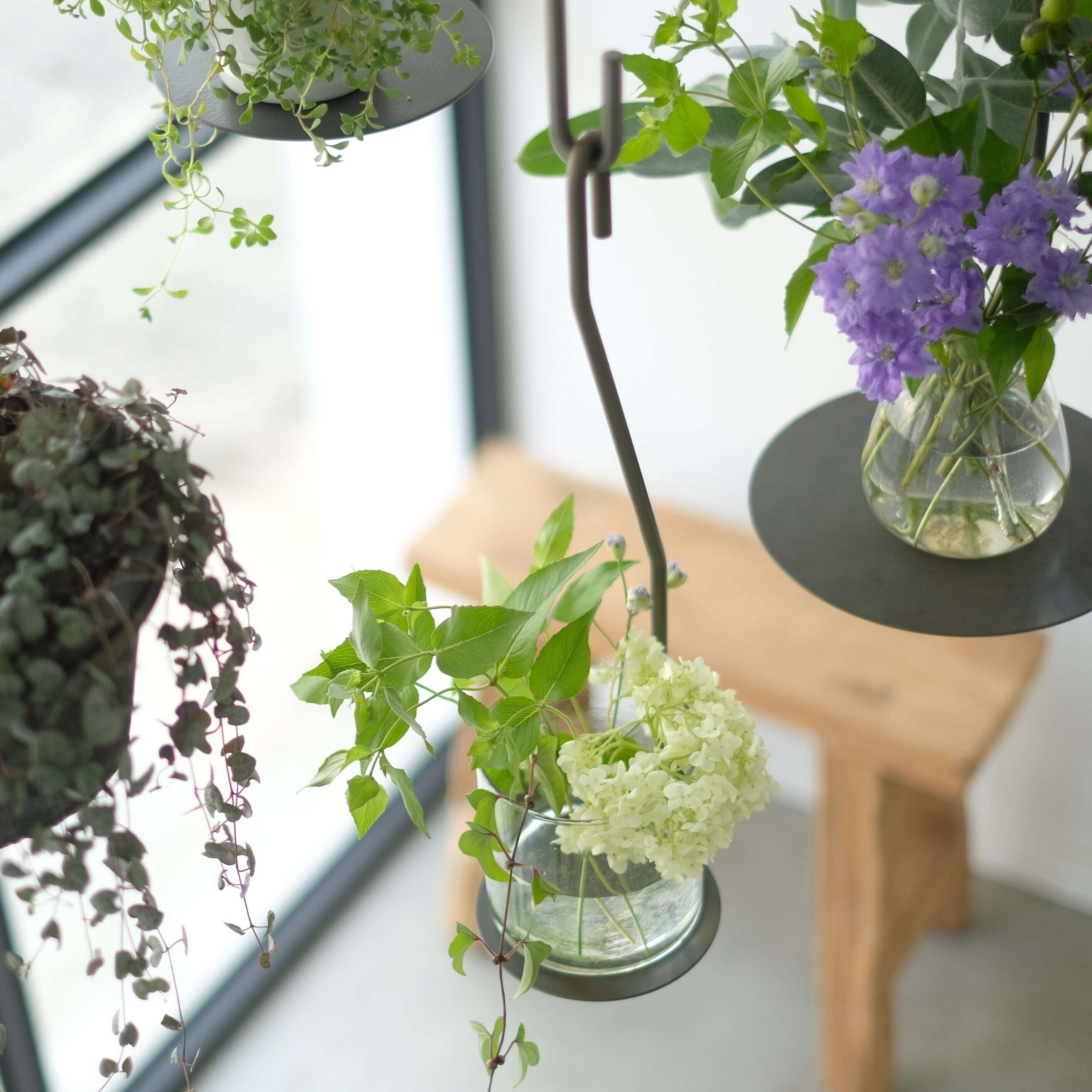 PLOP Hanging Plate S