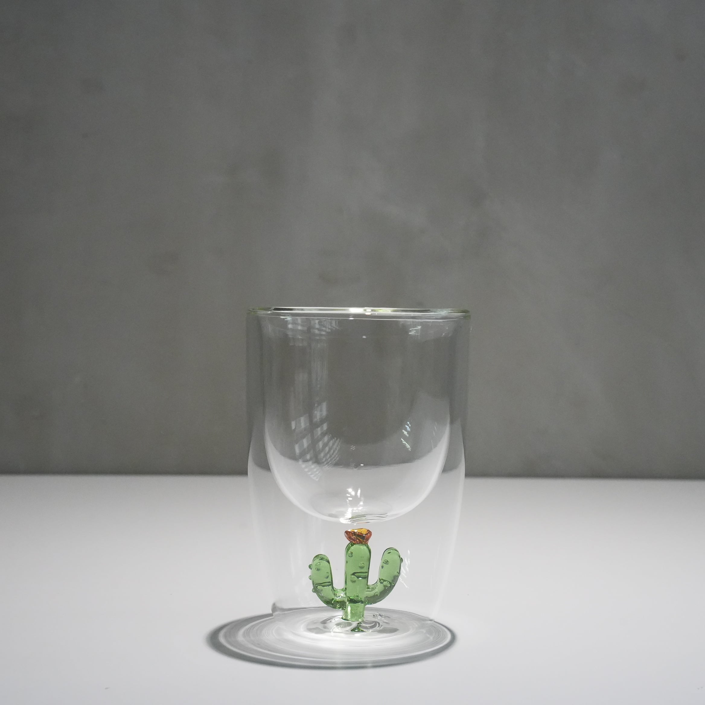 Double Wall Glass Tumbler