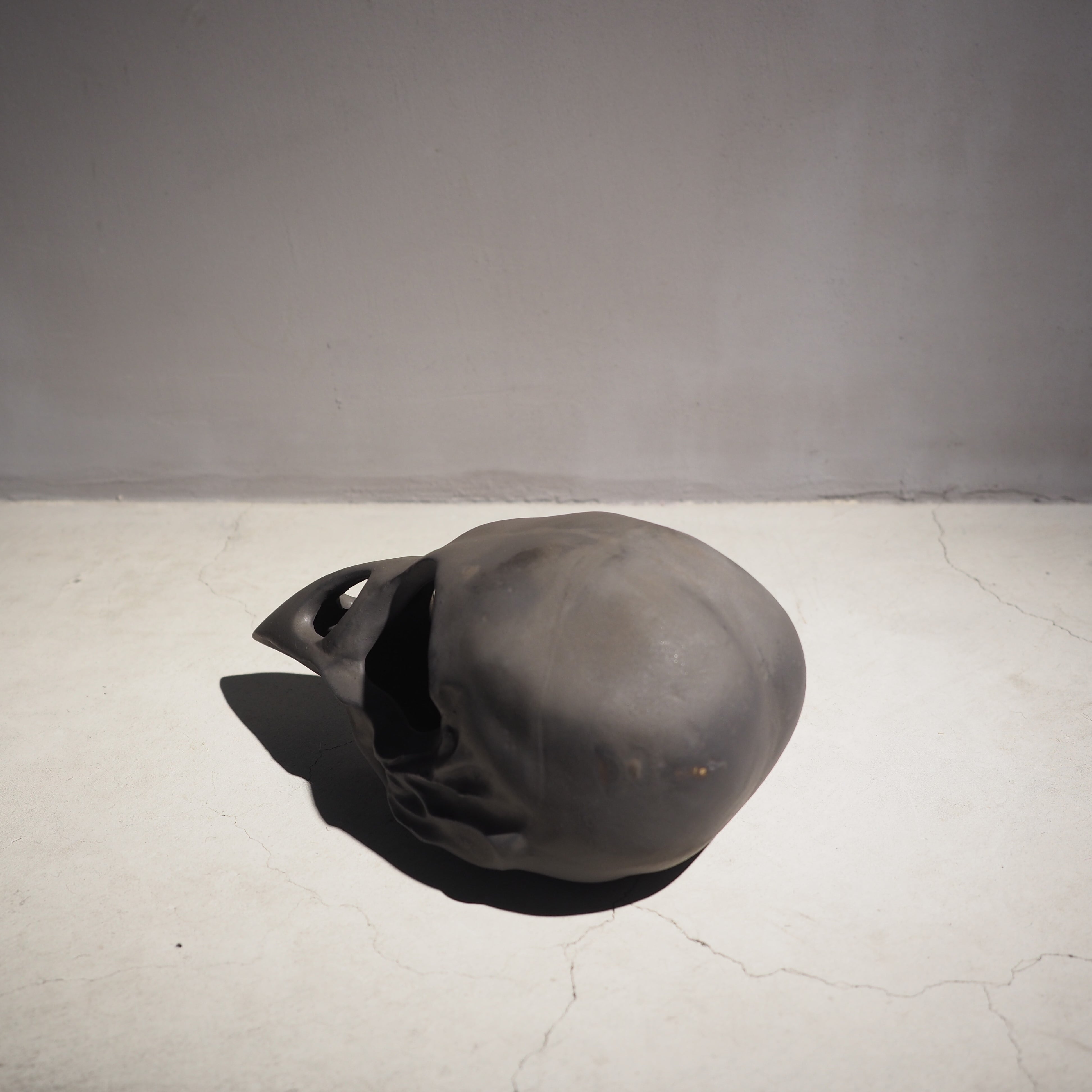 Bird Skull Eye Socket BK BSK-001-04