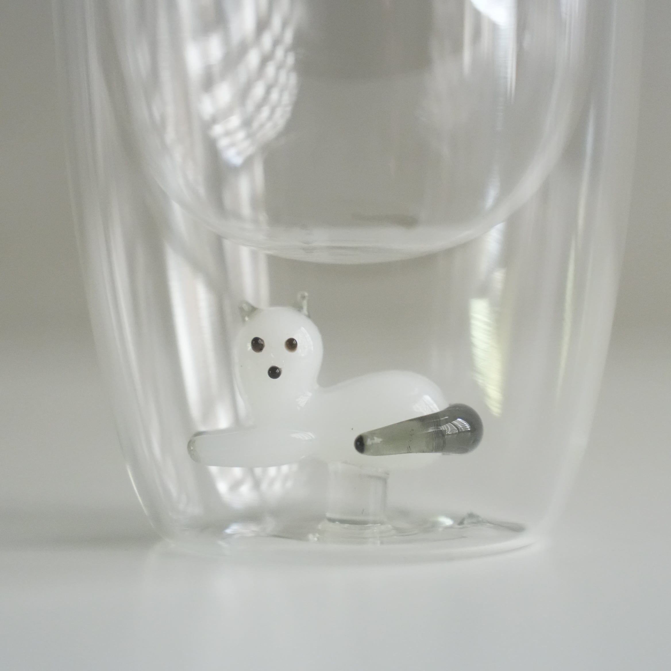 Double Wall Glass Tumbler