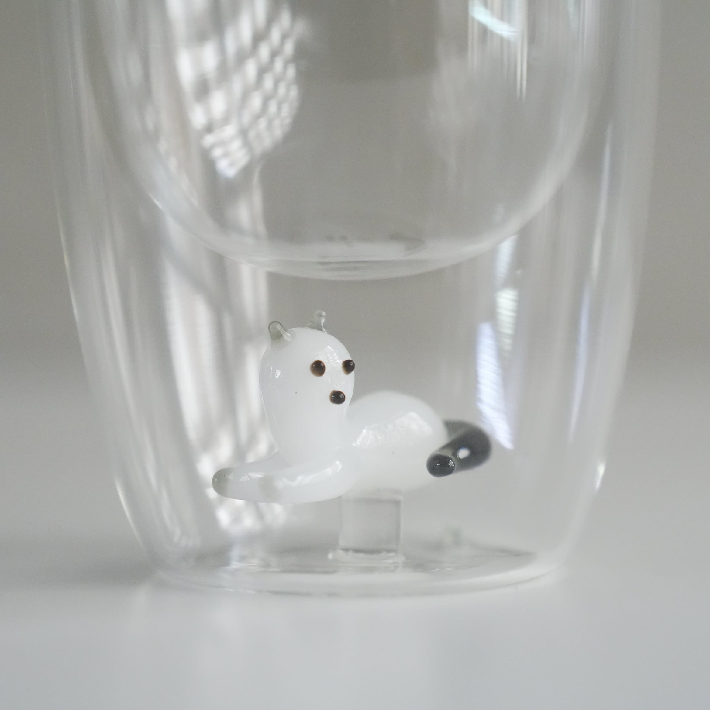 Double Wall Glass Tumbler