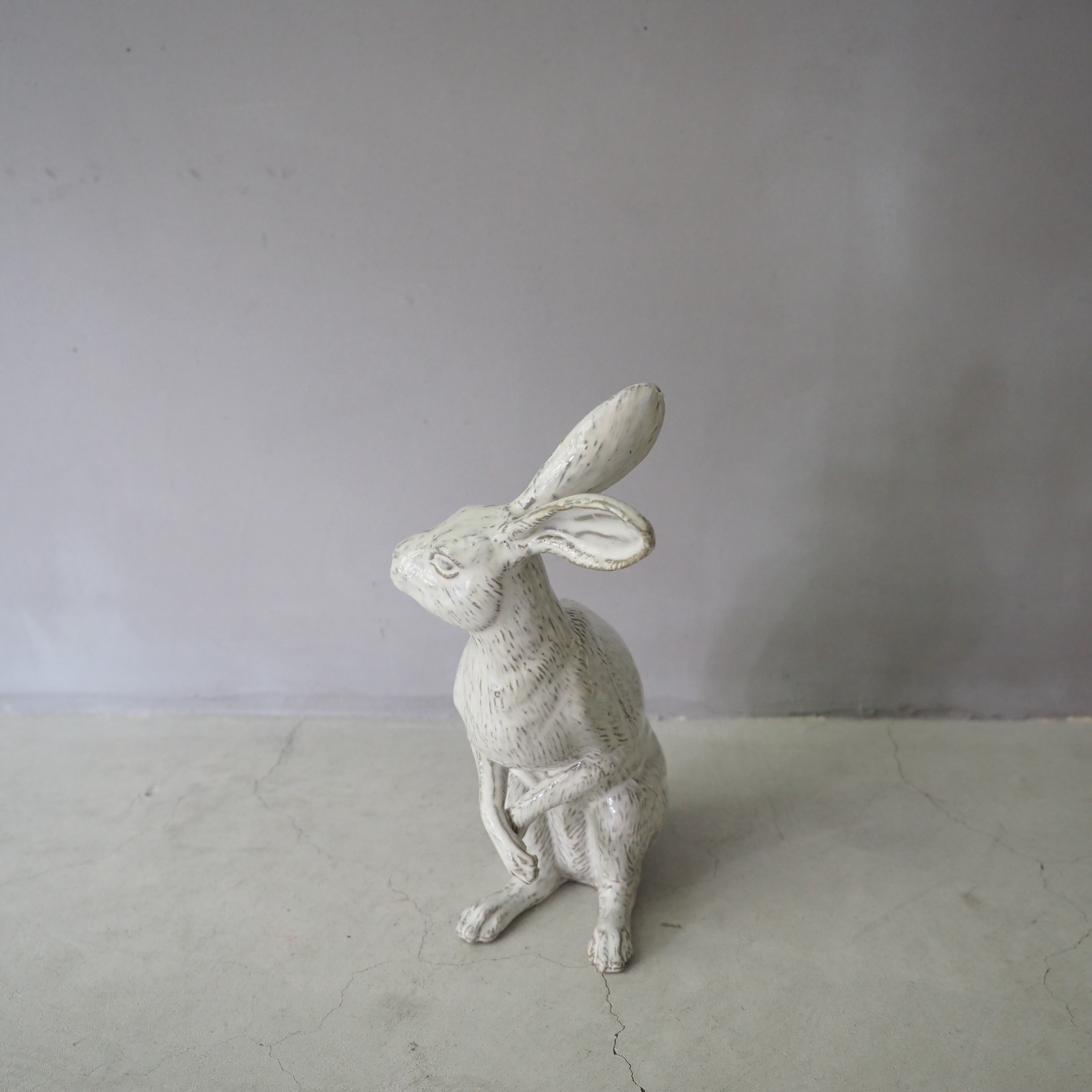 Curious Hare White PP-023-05