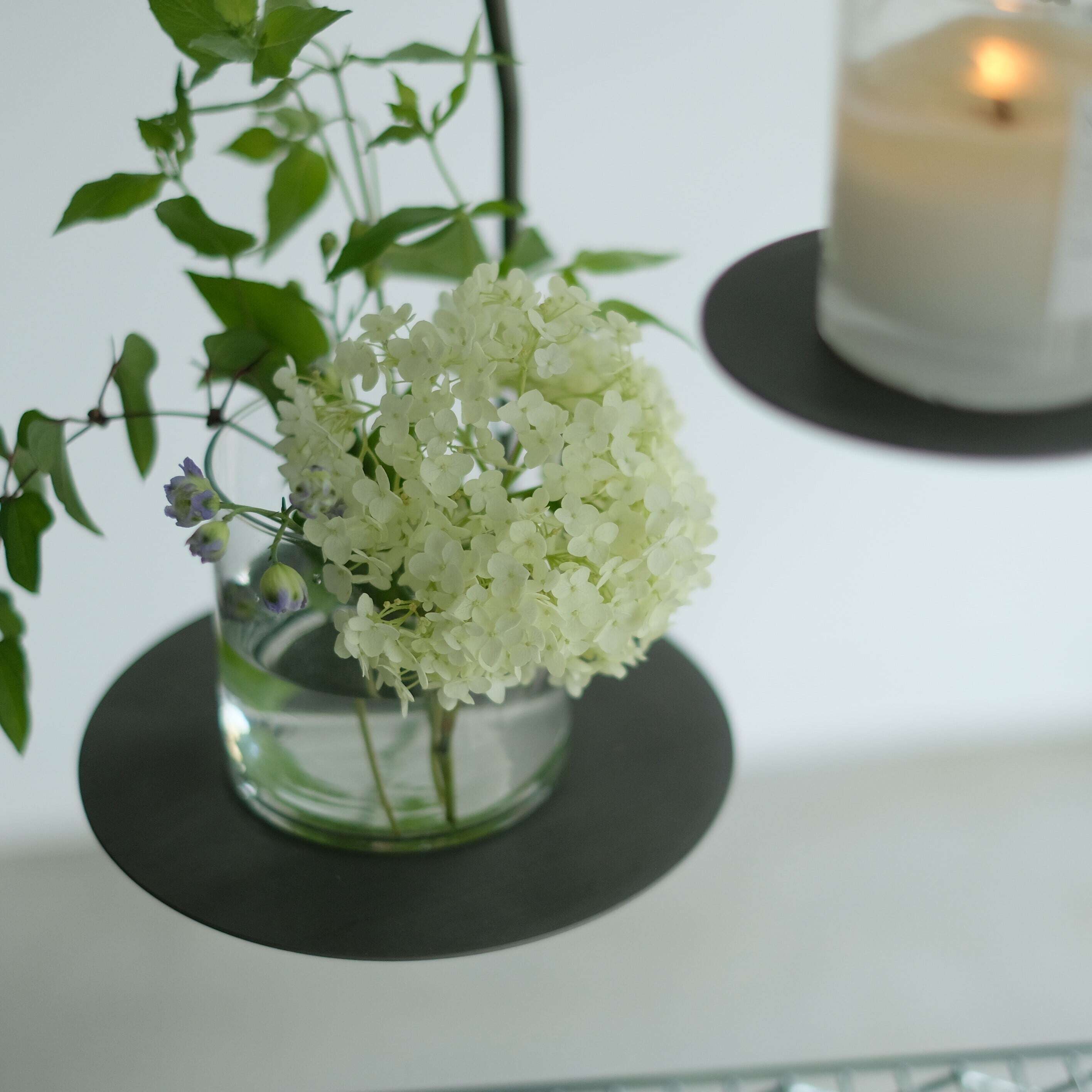 PLOP Hanging Plate L