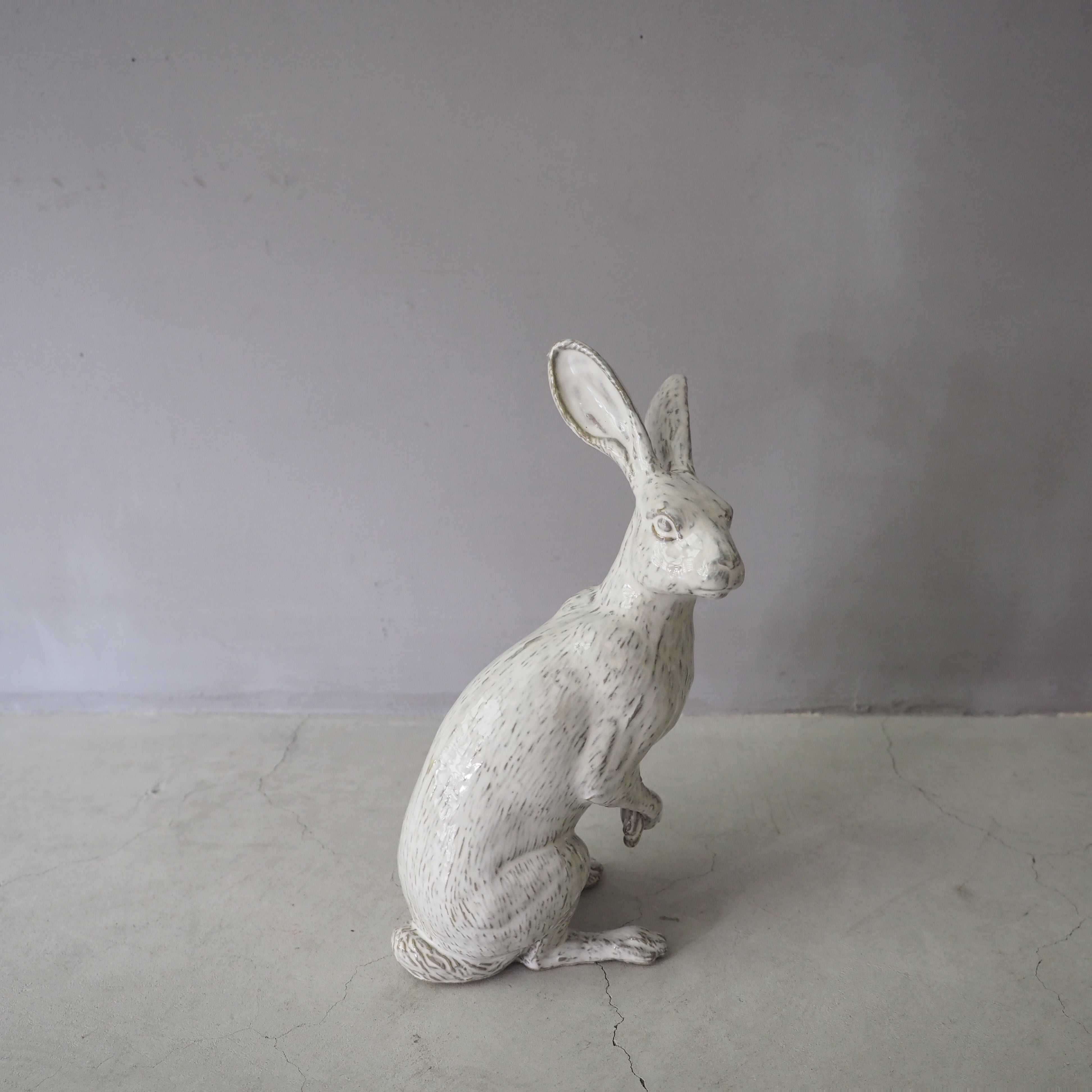 Curious Hare White PP-023-05