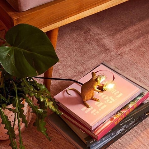 Mouse Lamp シッティング