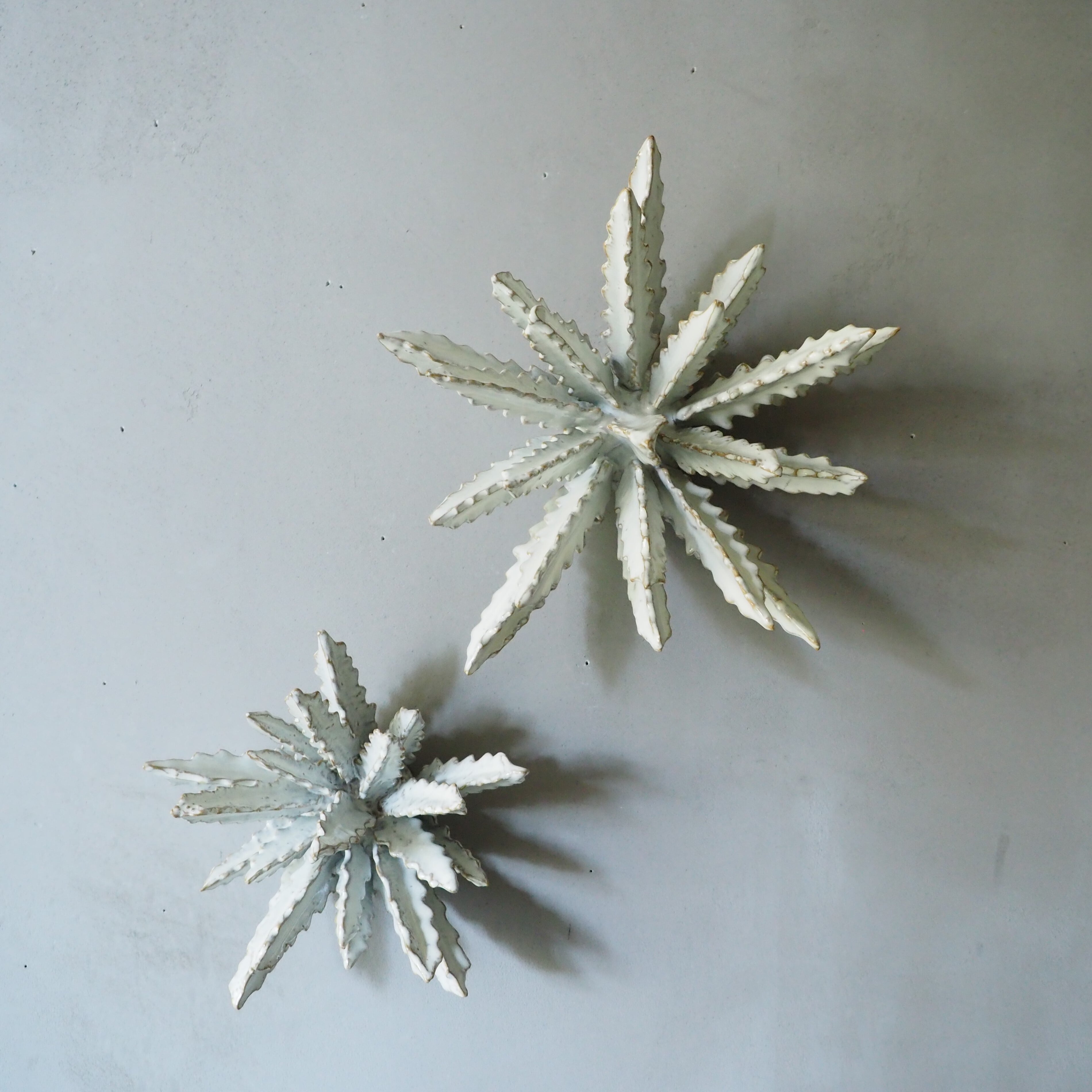 Urchin Star II OC-008