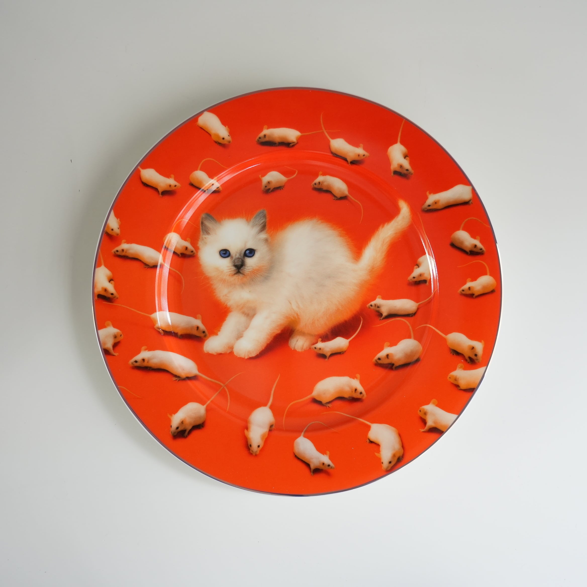 ポーセリンプレート KITTEN