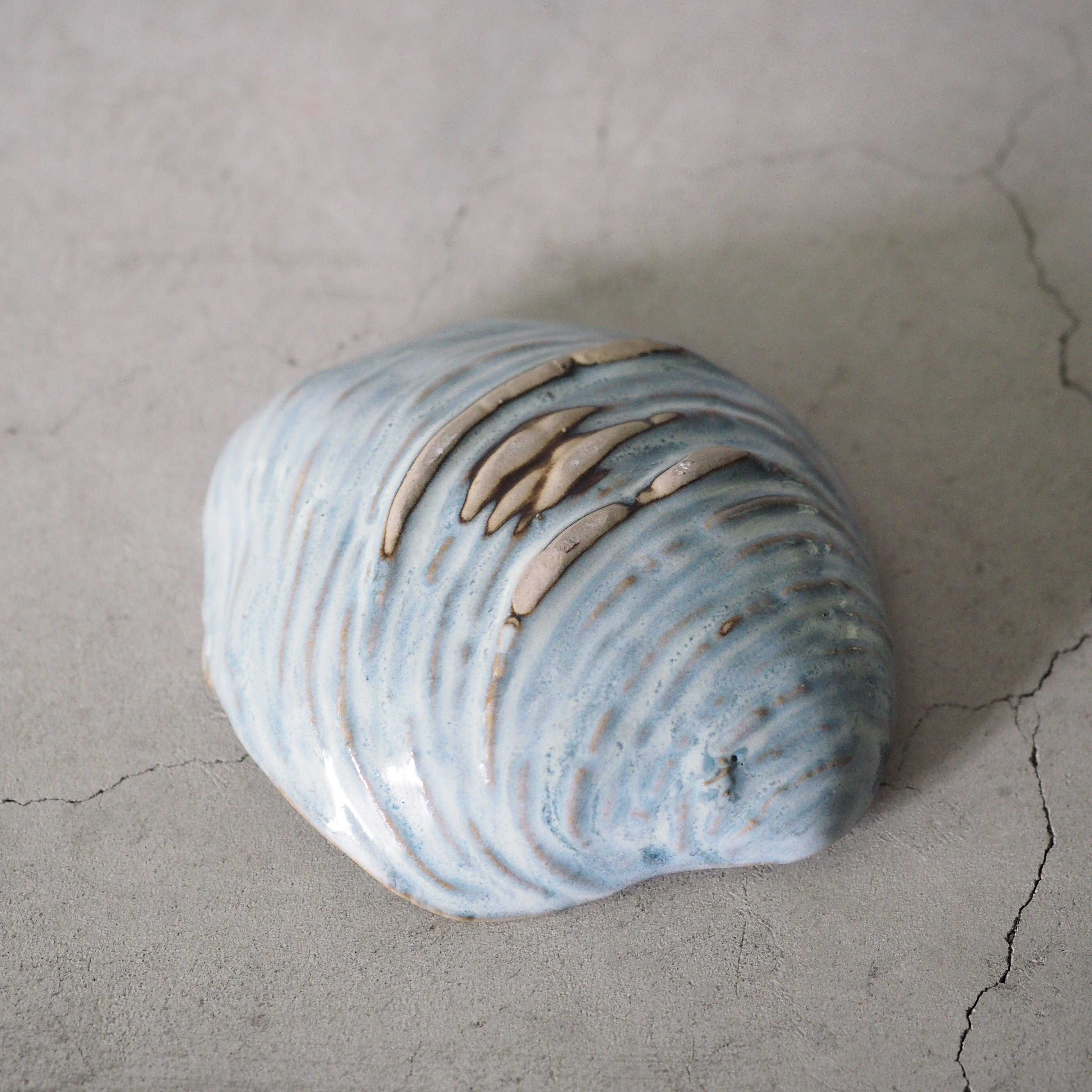 Shell Dish S OCT-050