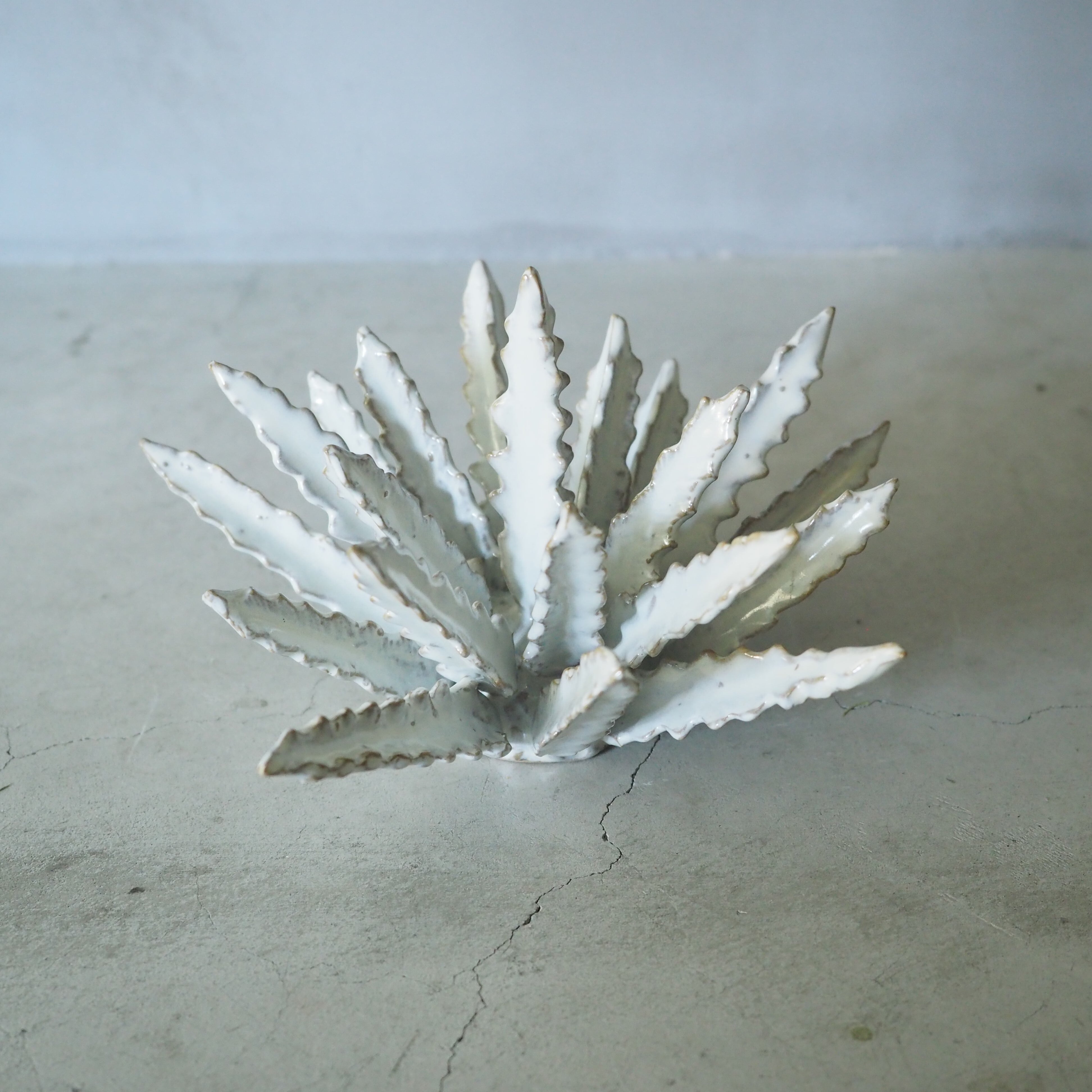 Urchin Star I OC-007