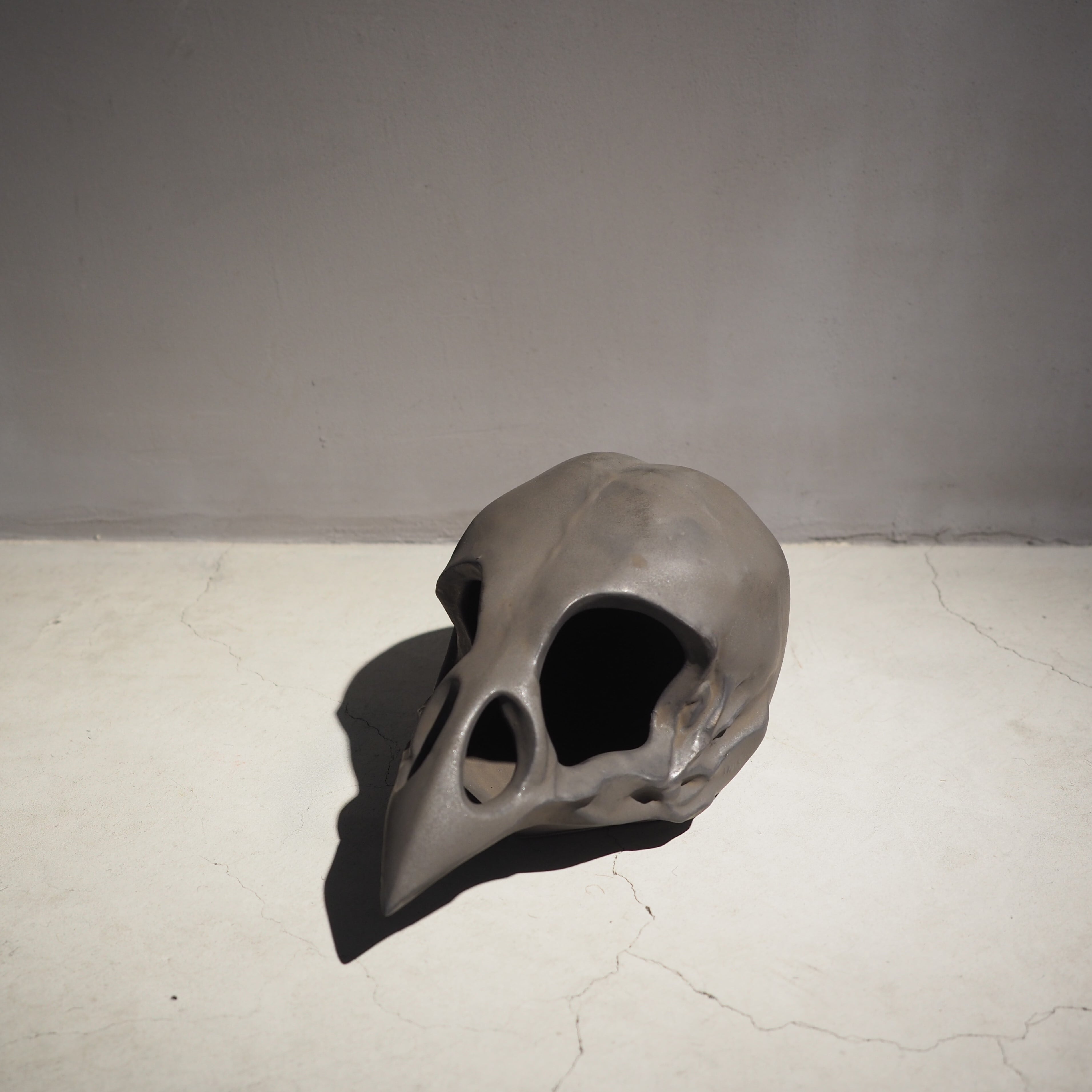 Bird Skull Eye Socket BK BSK-001-04