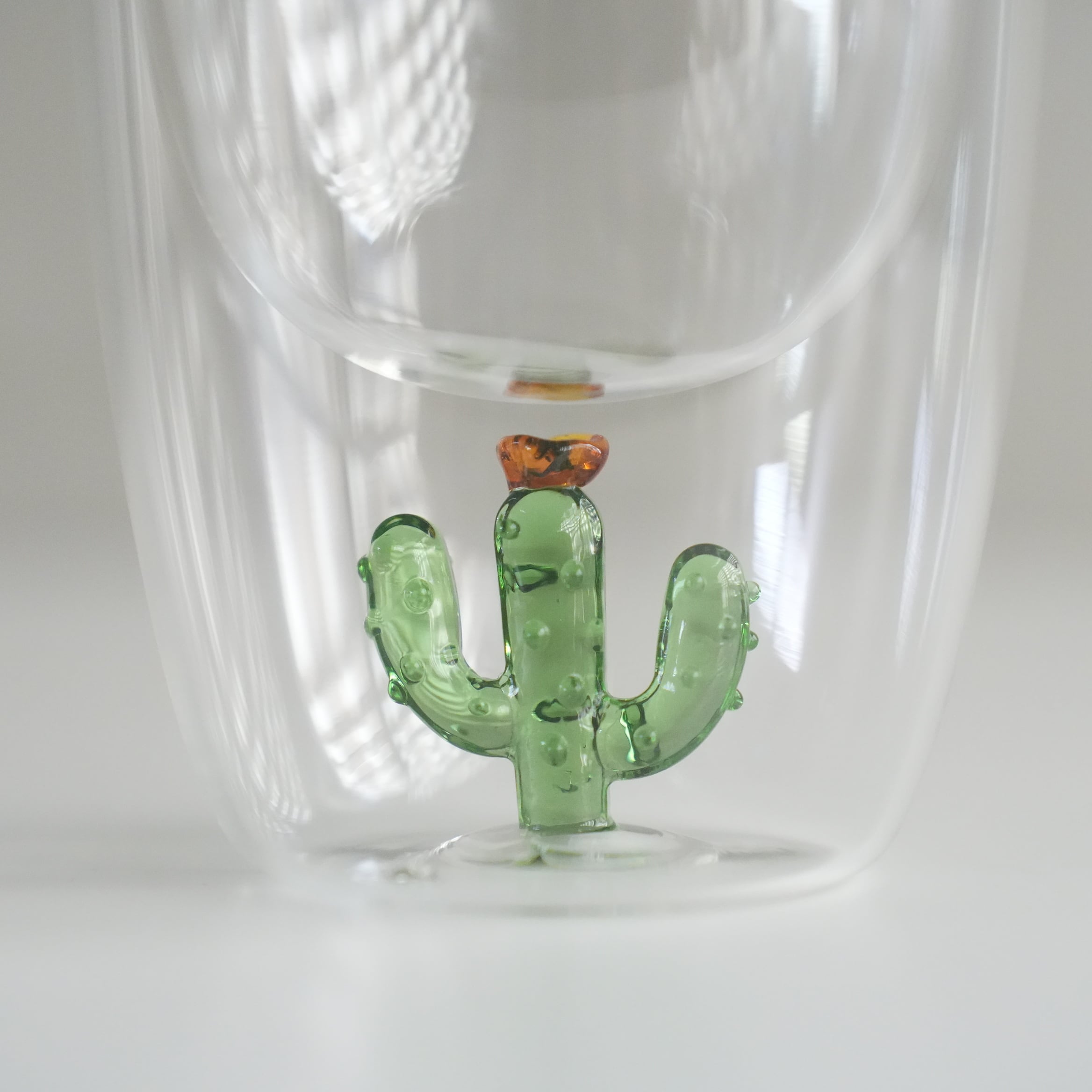 Double Wall Glass Tumbler