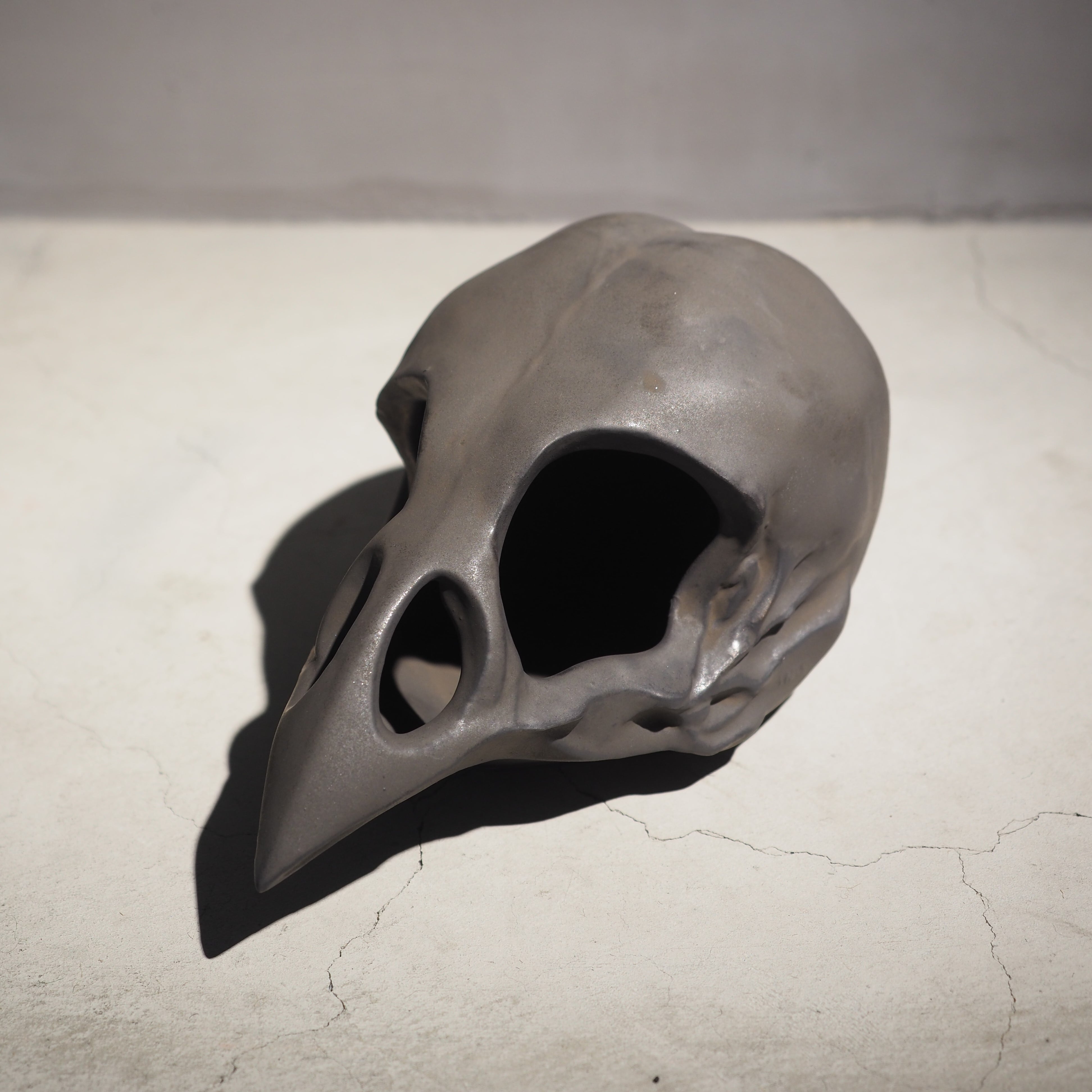 Bird Skull Eye Socket BK BSK-001-04