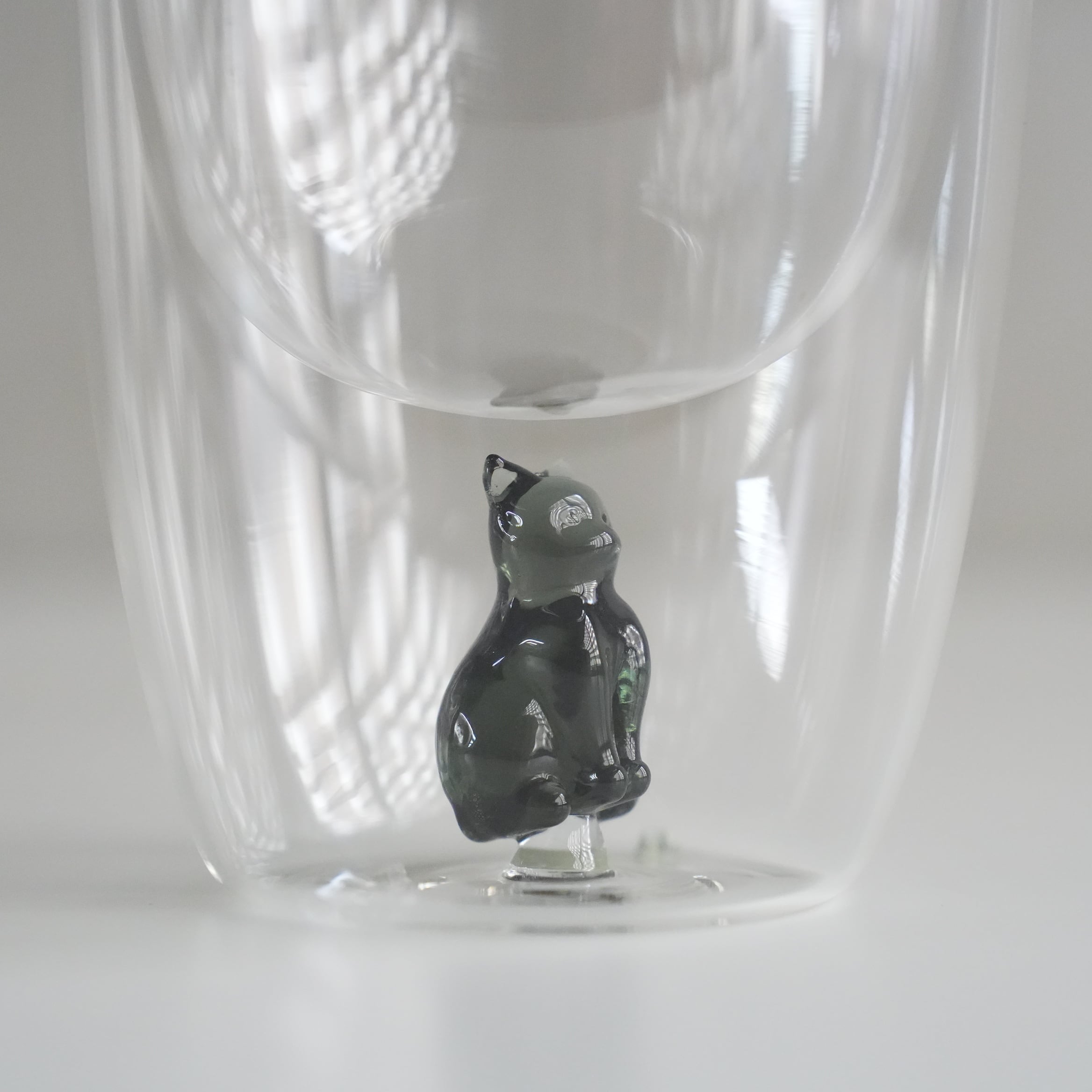 Double Wall Glass Tumbler