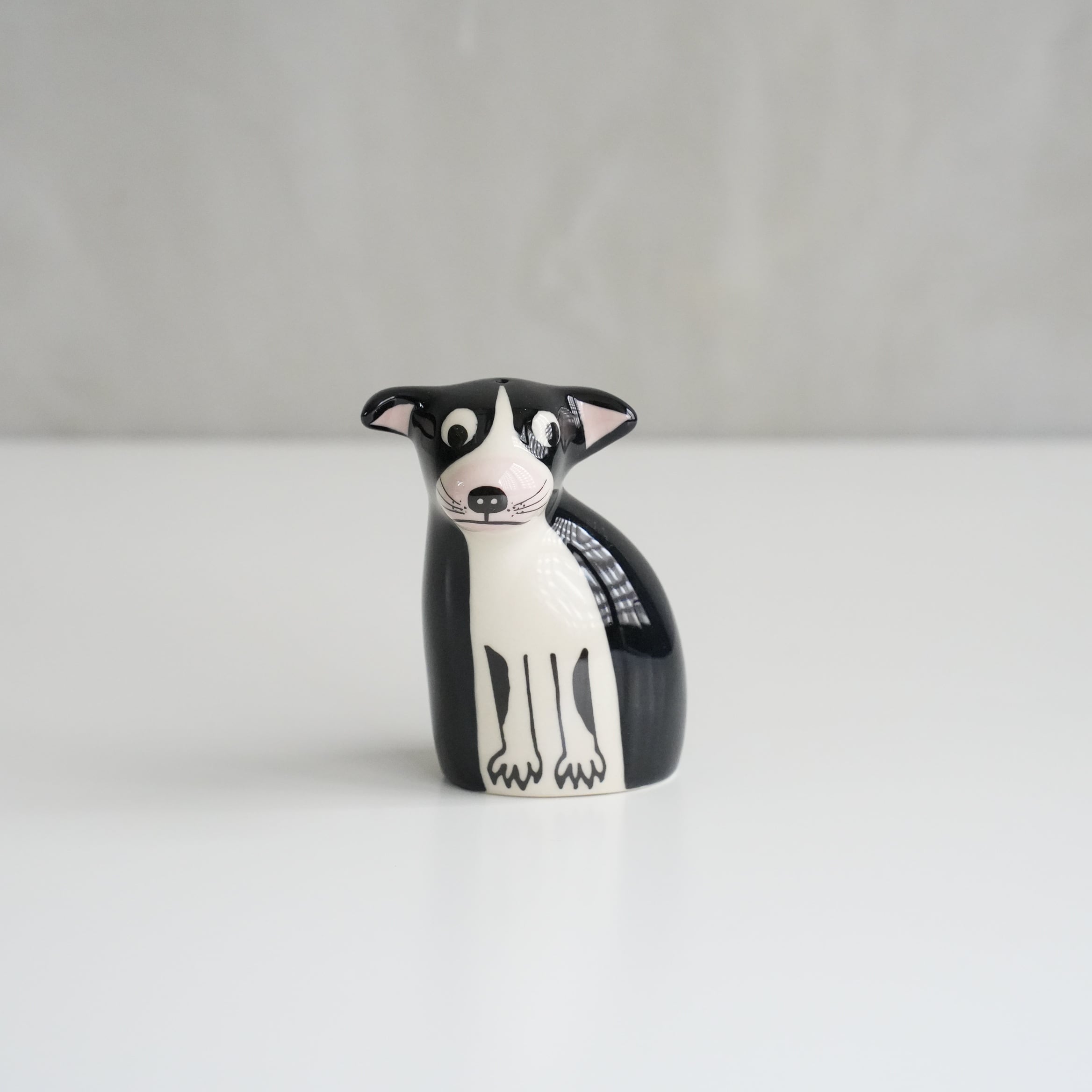 Salt and Peppers Boston Terrier