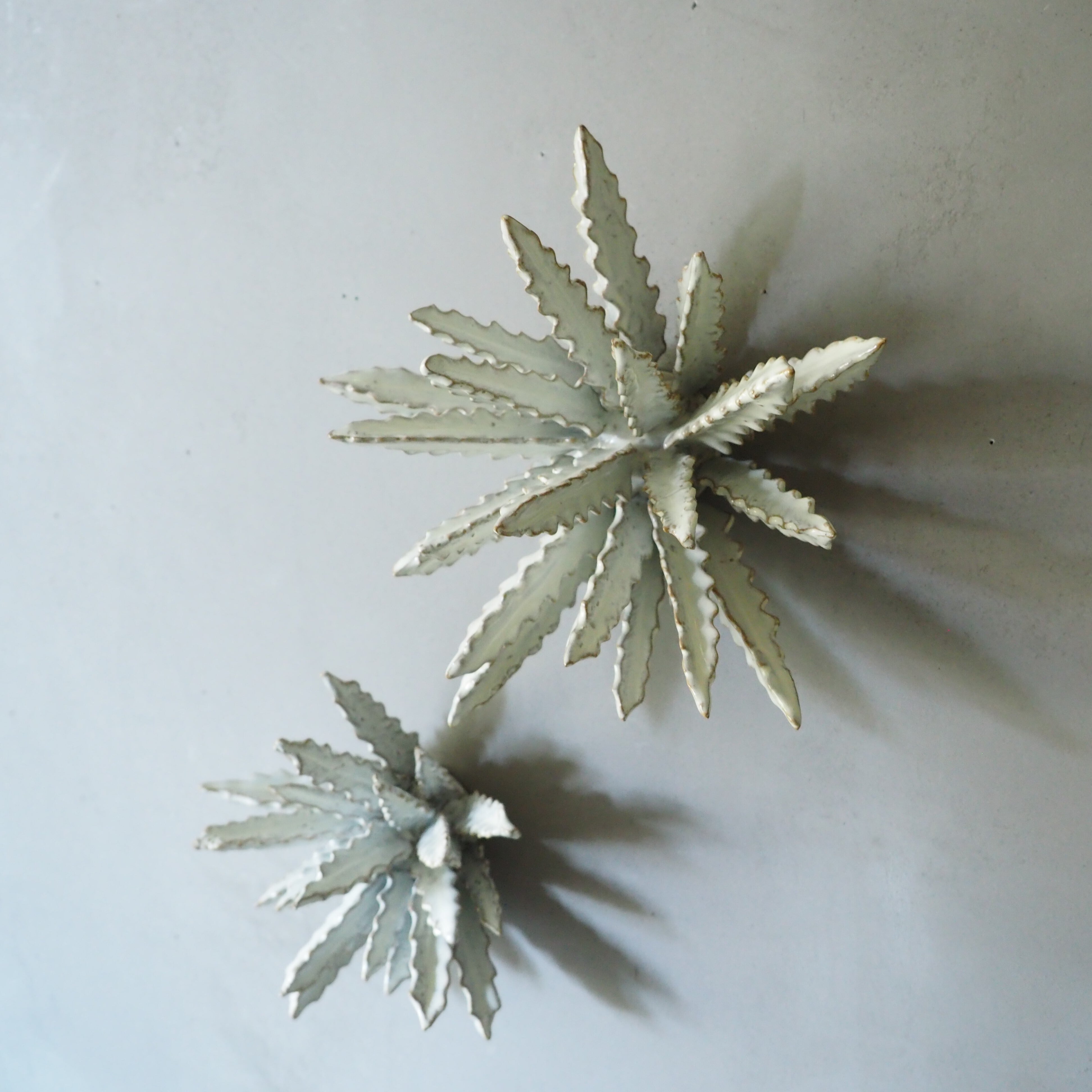 Urchin Star II OC-008