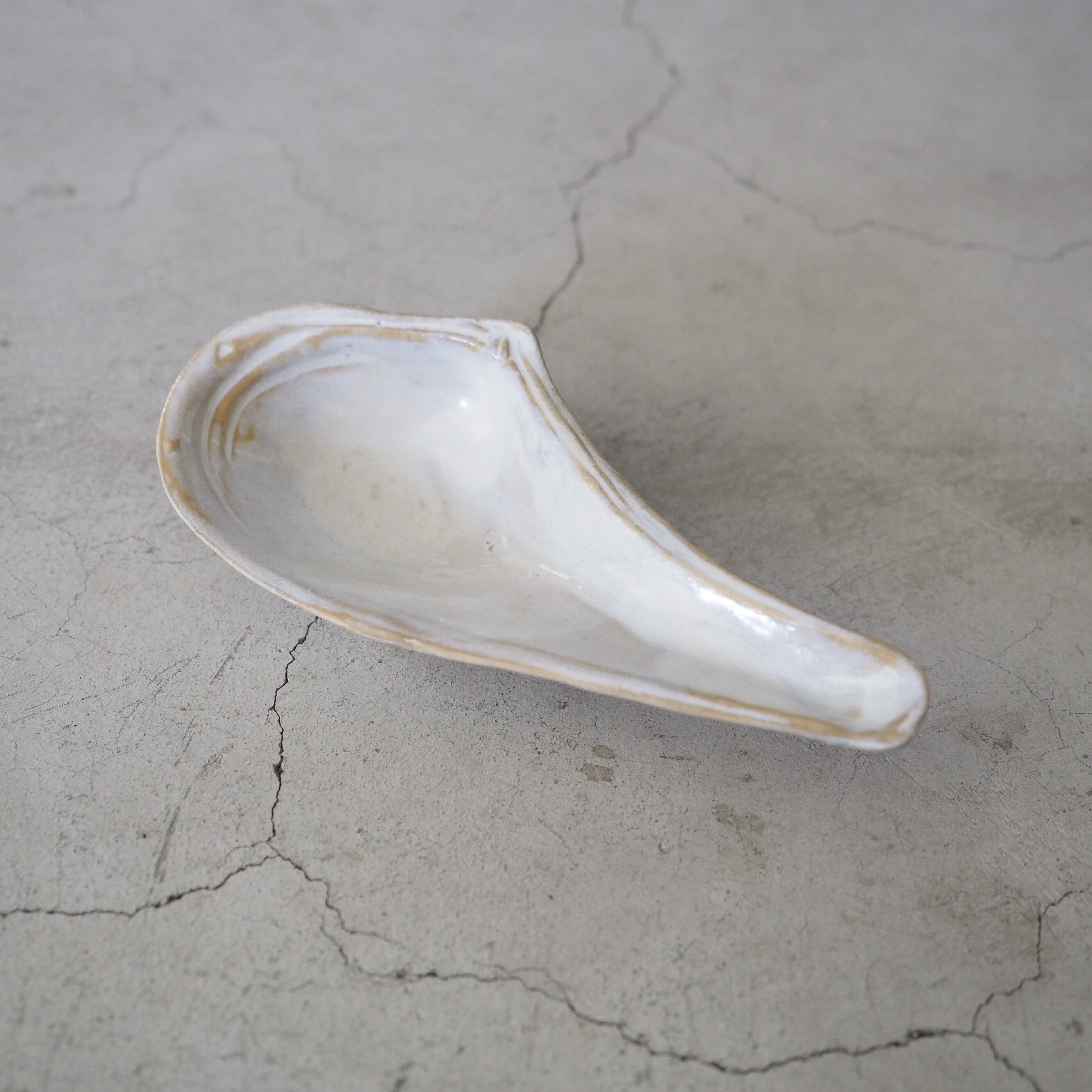 Horseshoe Shell OCT-038