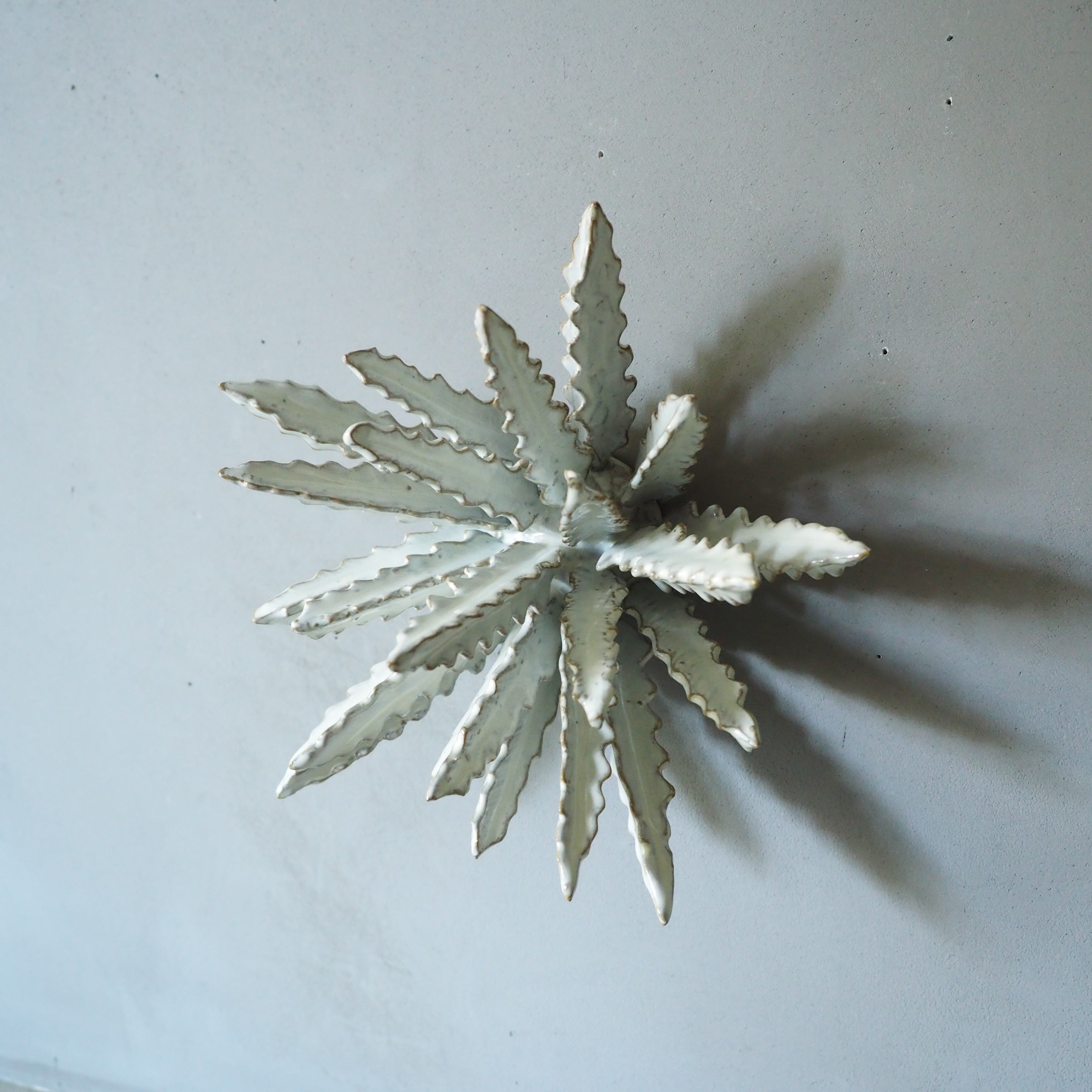 Urchin Star I OC-007