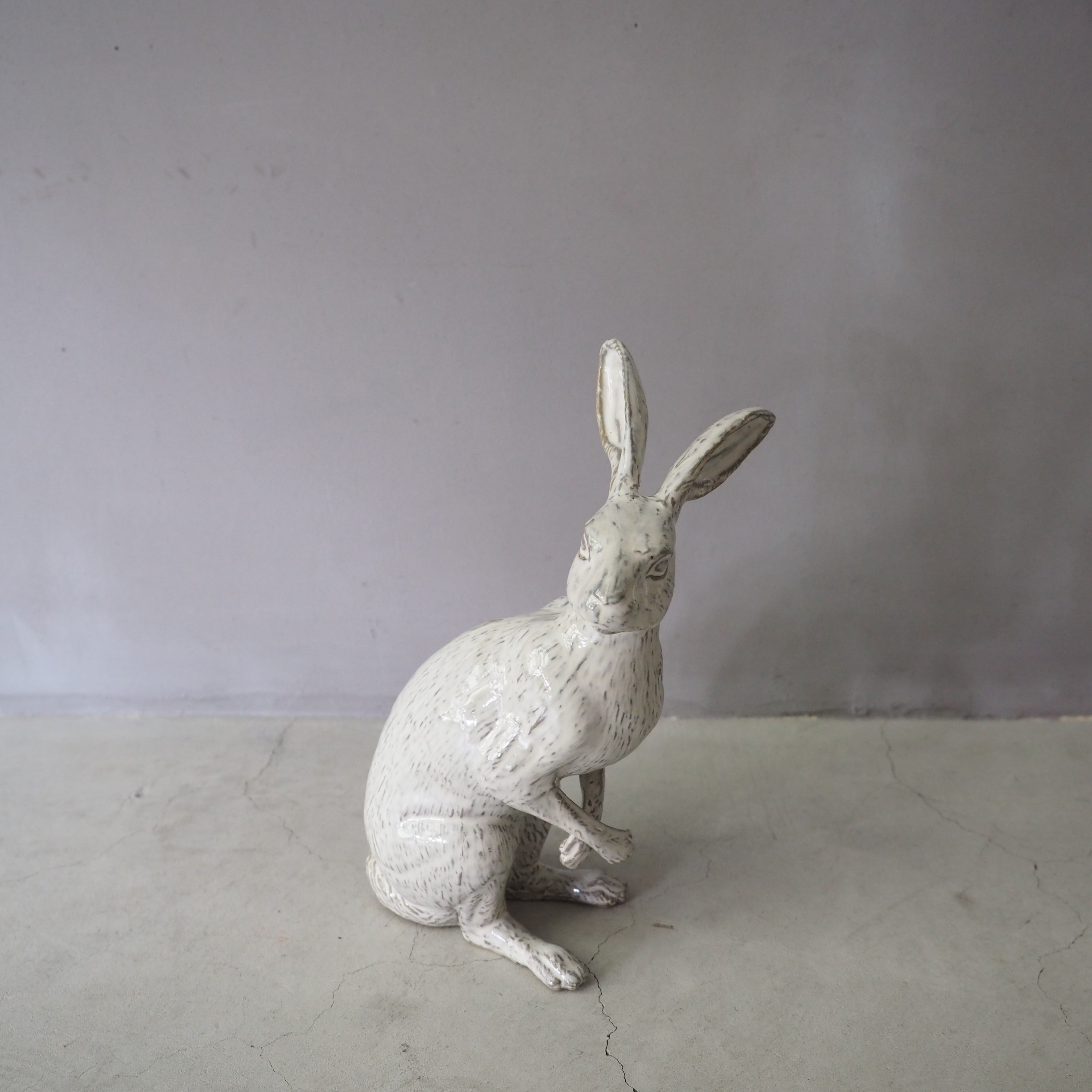 Curious Hare White PP-023-05