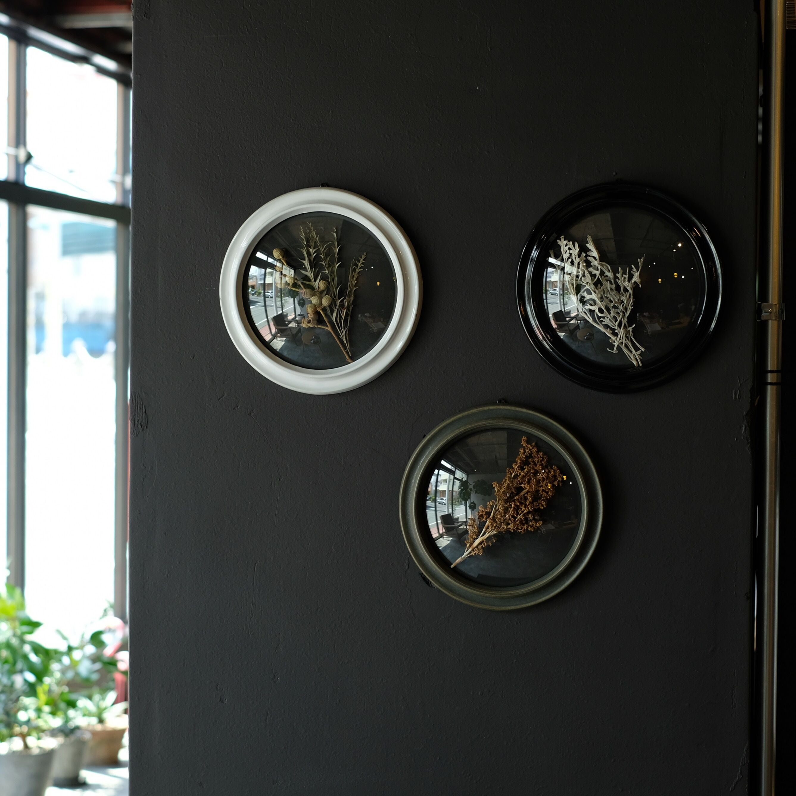 AS POTTERY / Convex Glass Case (L)
