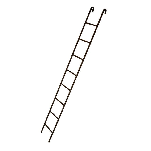 FIRE ESCAPE Ladder