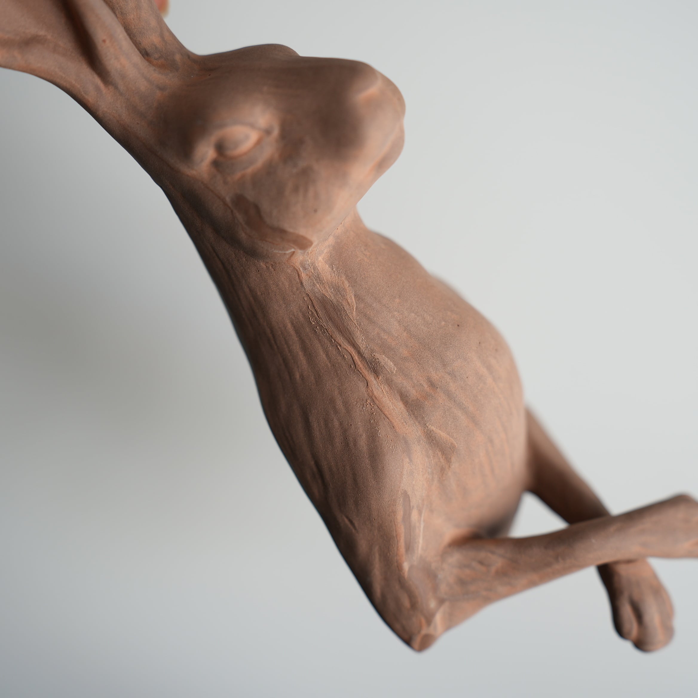 Curious Hare Hook Brown KN-026H-20