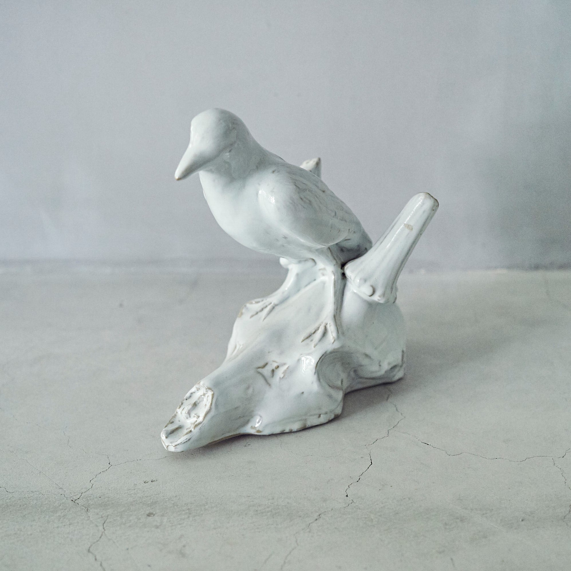 Crow & Deer Skull SC-009