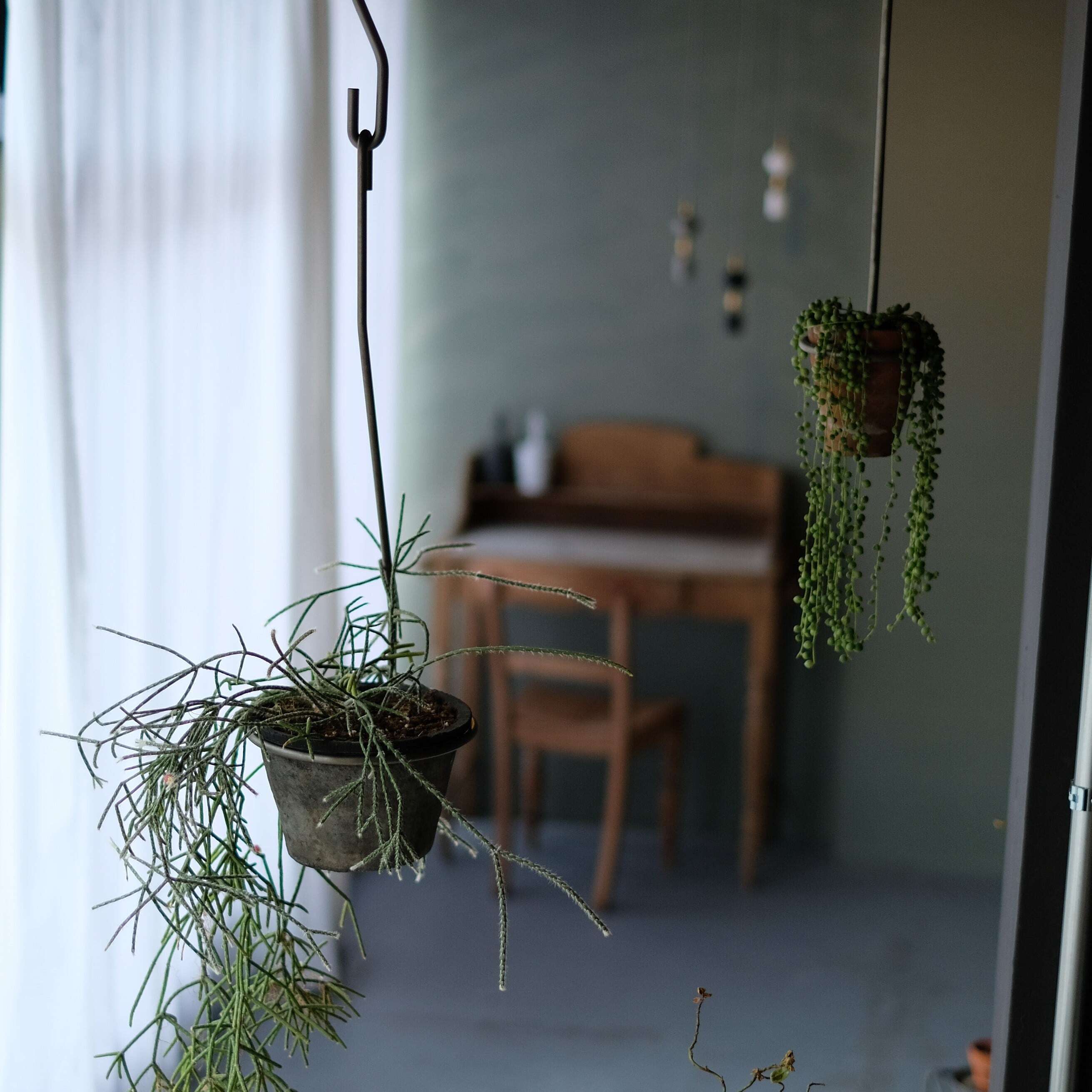 PLOP Hanging Holder L