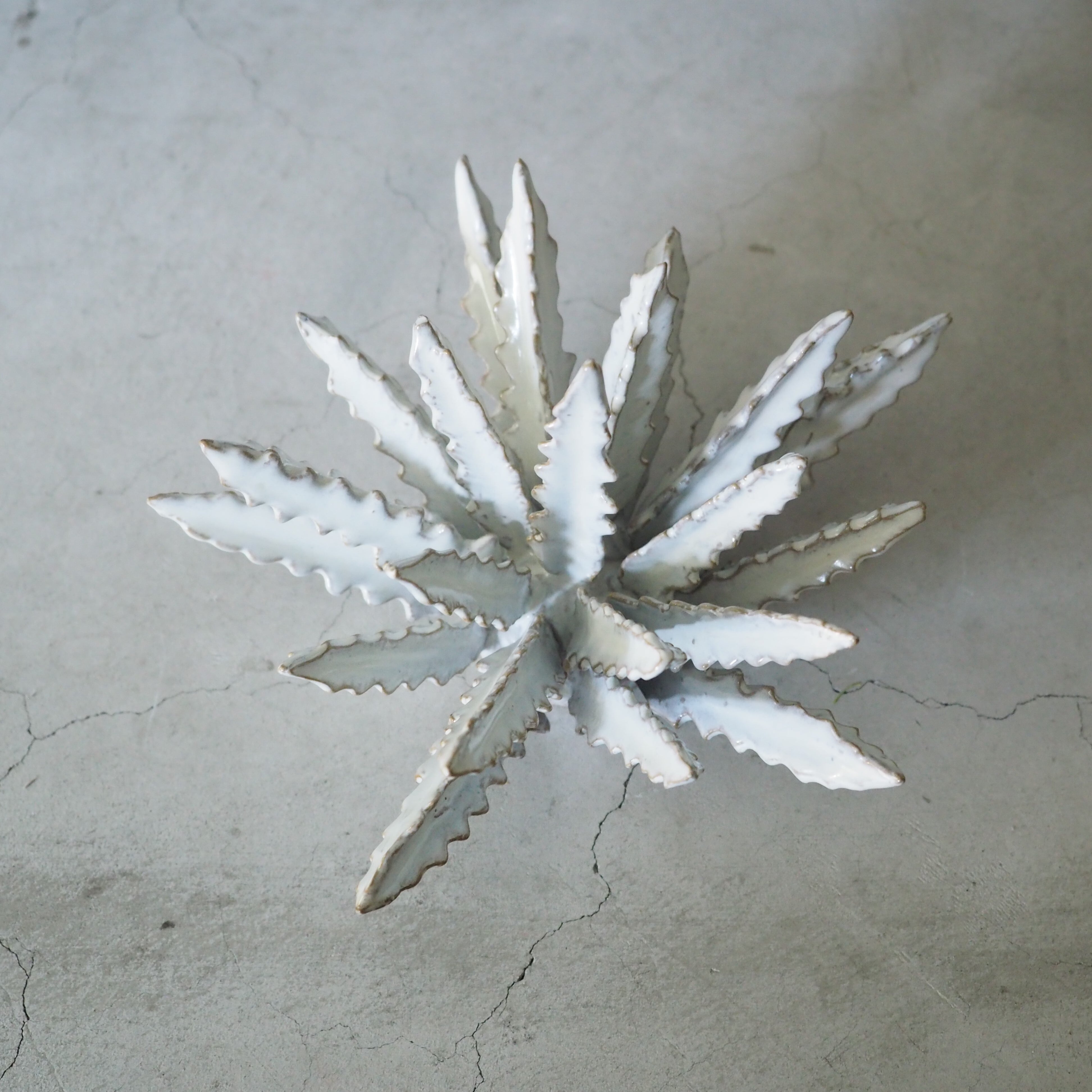 Urchin Star I OC-007