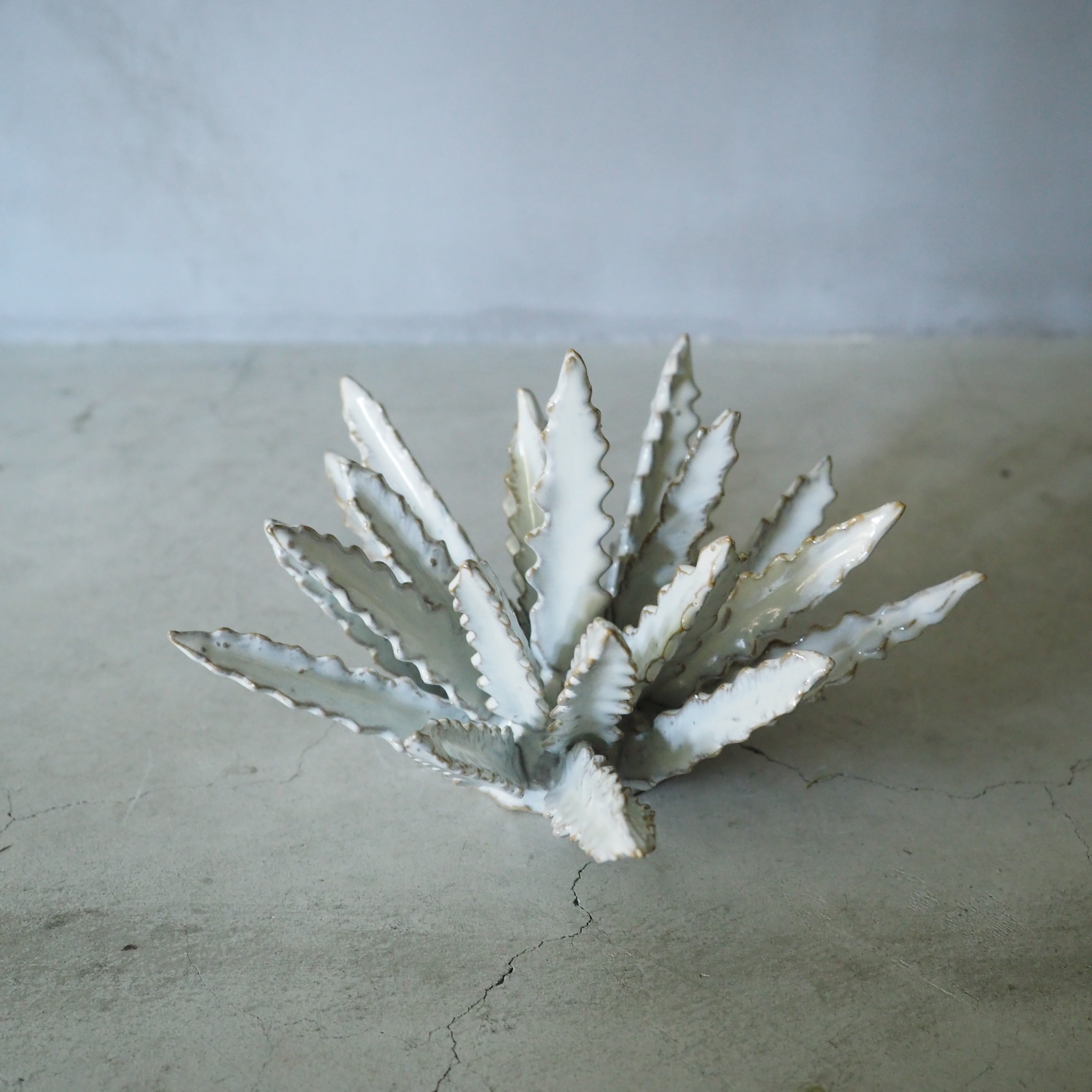 Urchin Star I OC-007