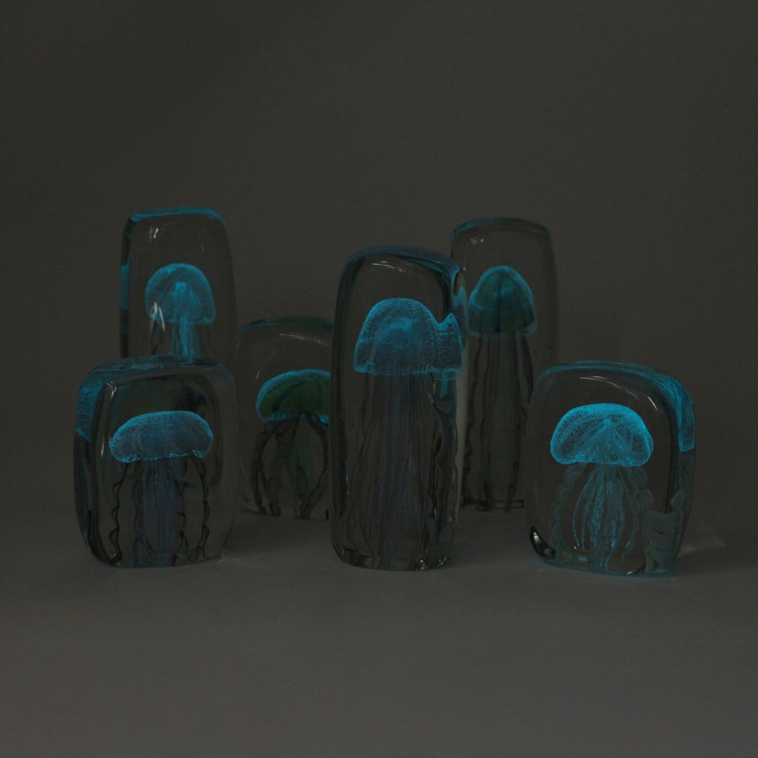 Jellyfish Twisted Leg