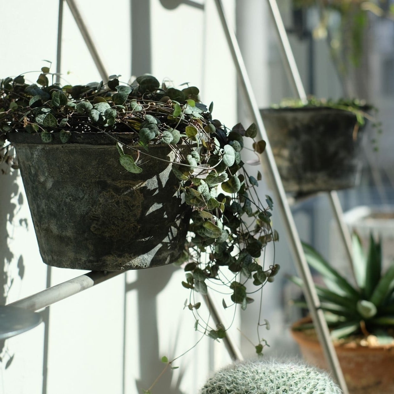 KNOP Ladder Rack WIDE