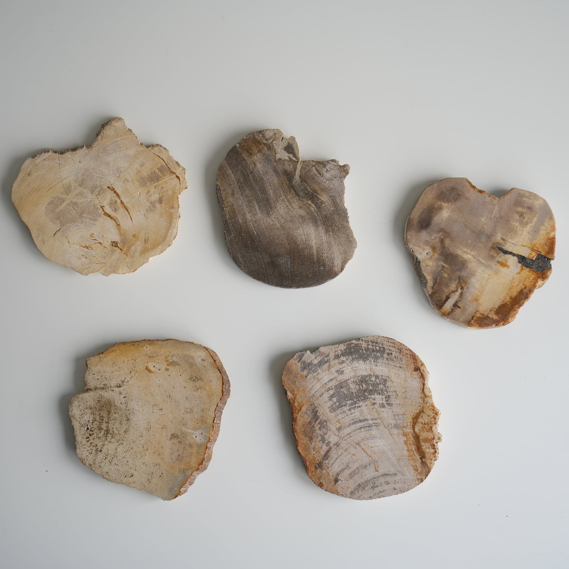 Wood Coaster Natural