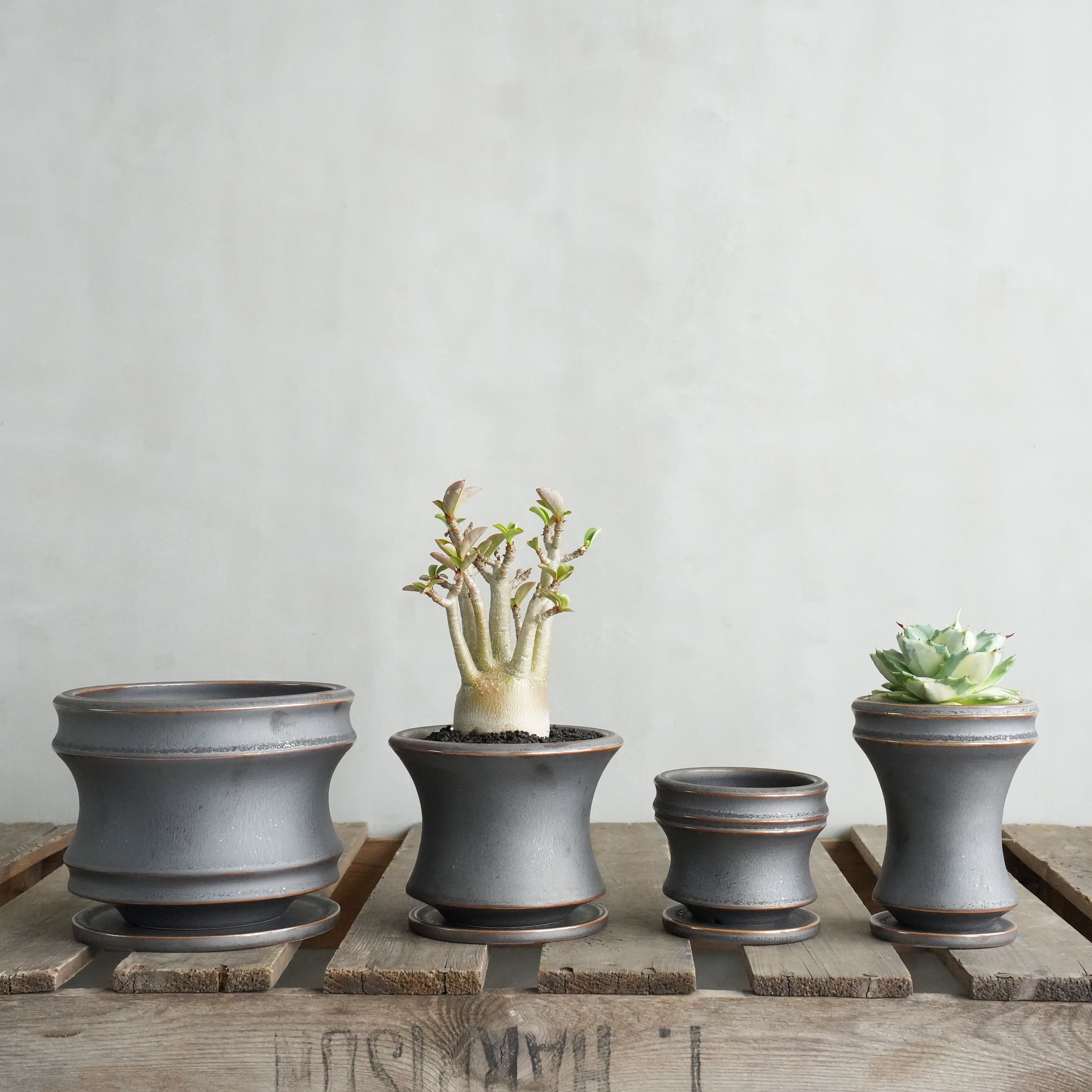 Alloy Pot & Saucer M