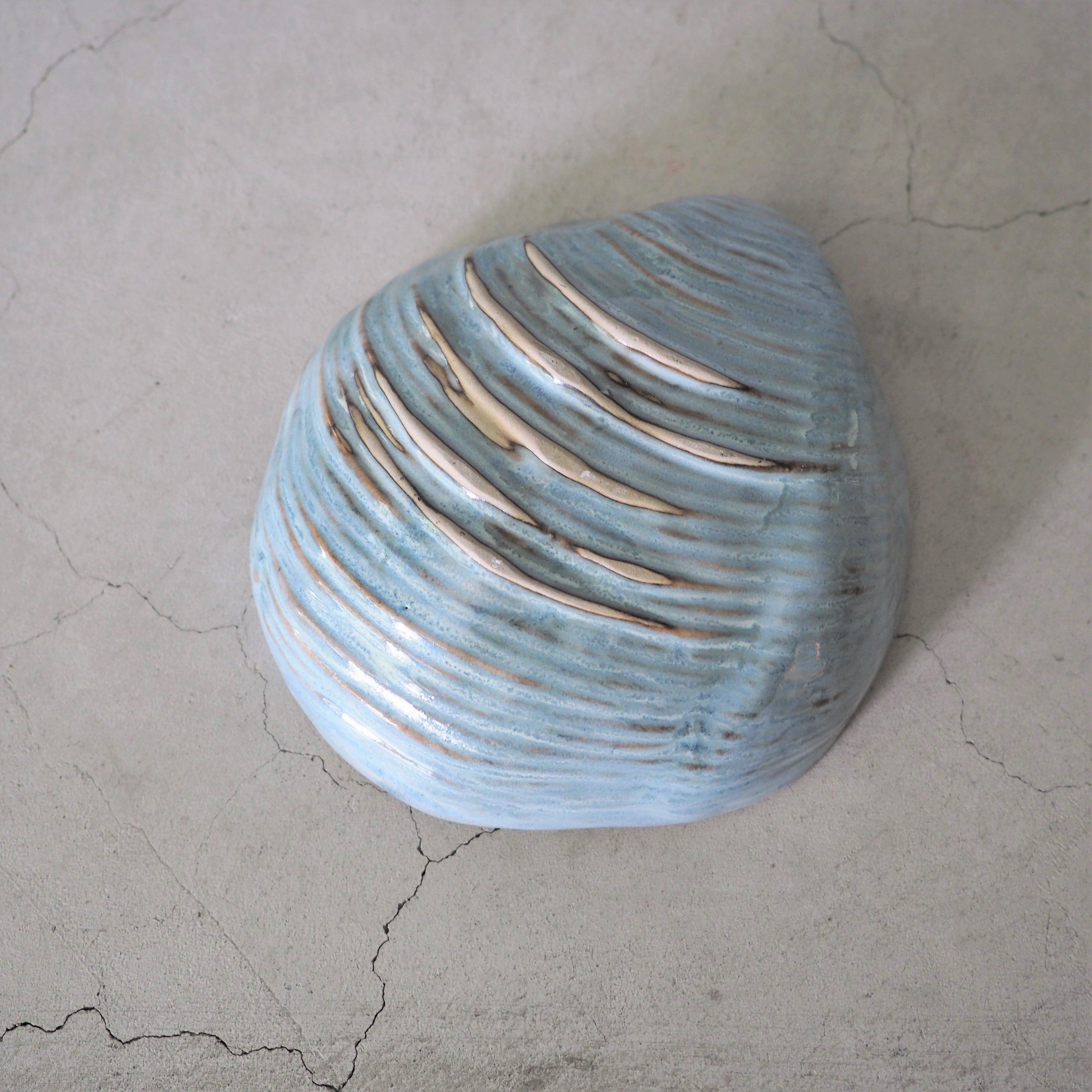 Shell Dish M OCT-051