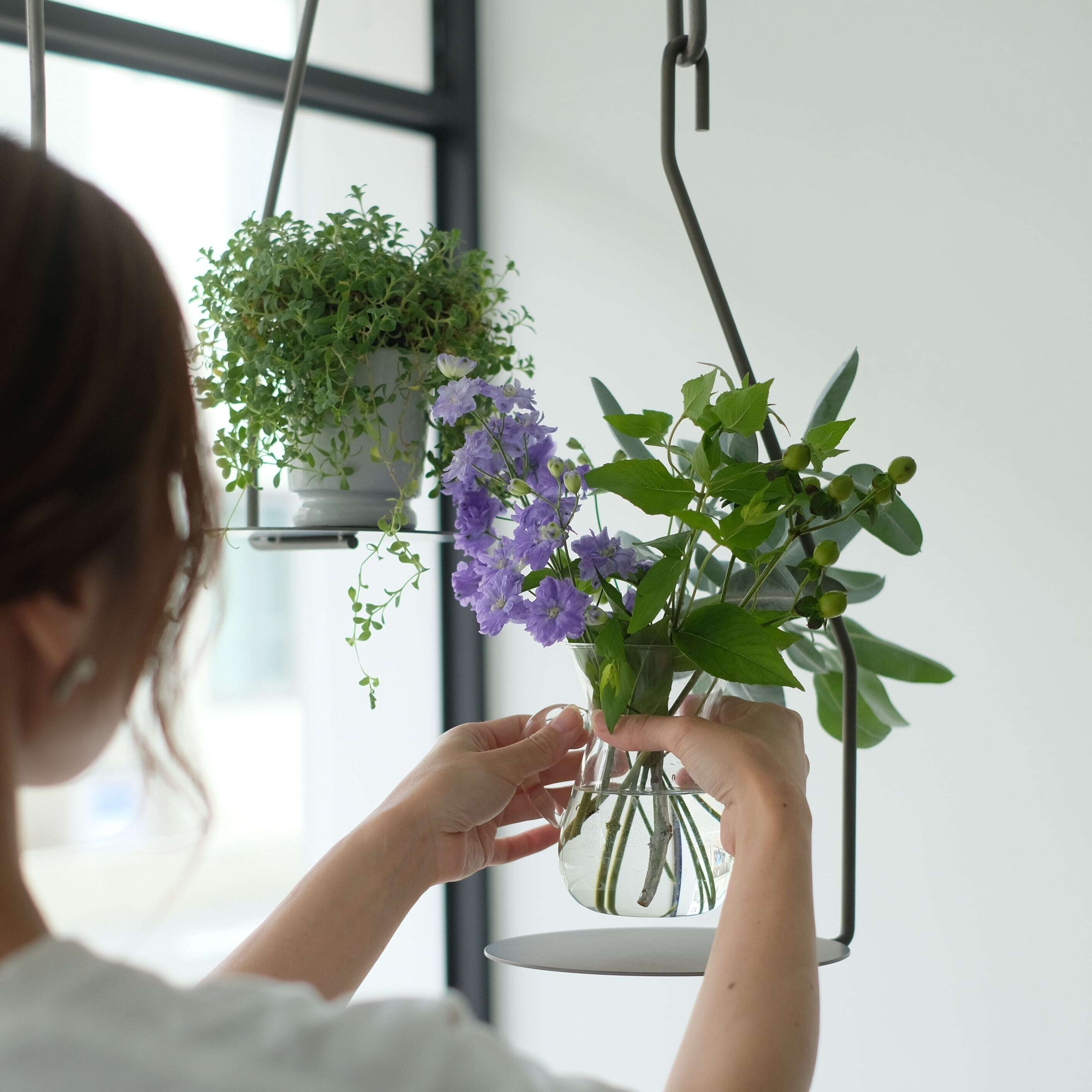 PLOP Hanging Plate S