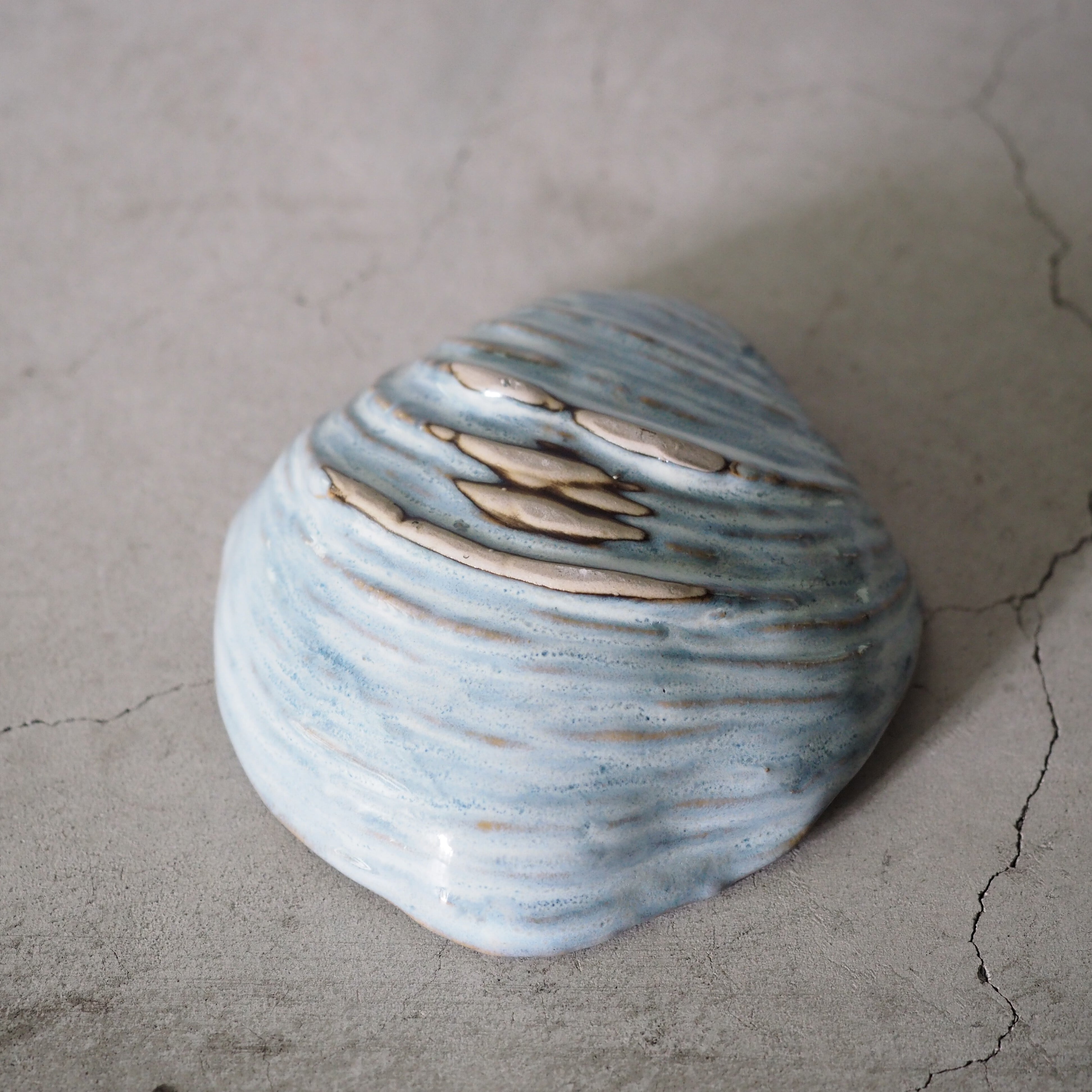 Shell Dish S OCT-050