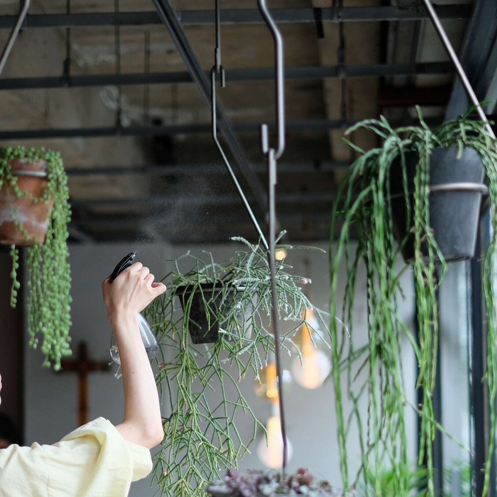 PLOP Hanging Holder M