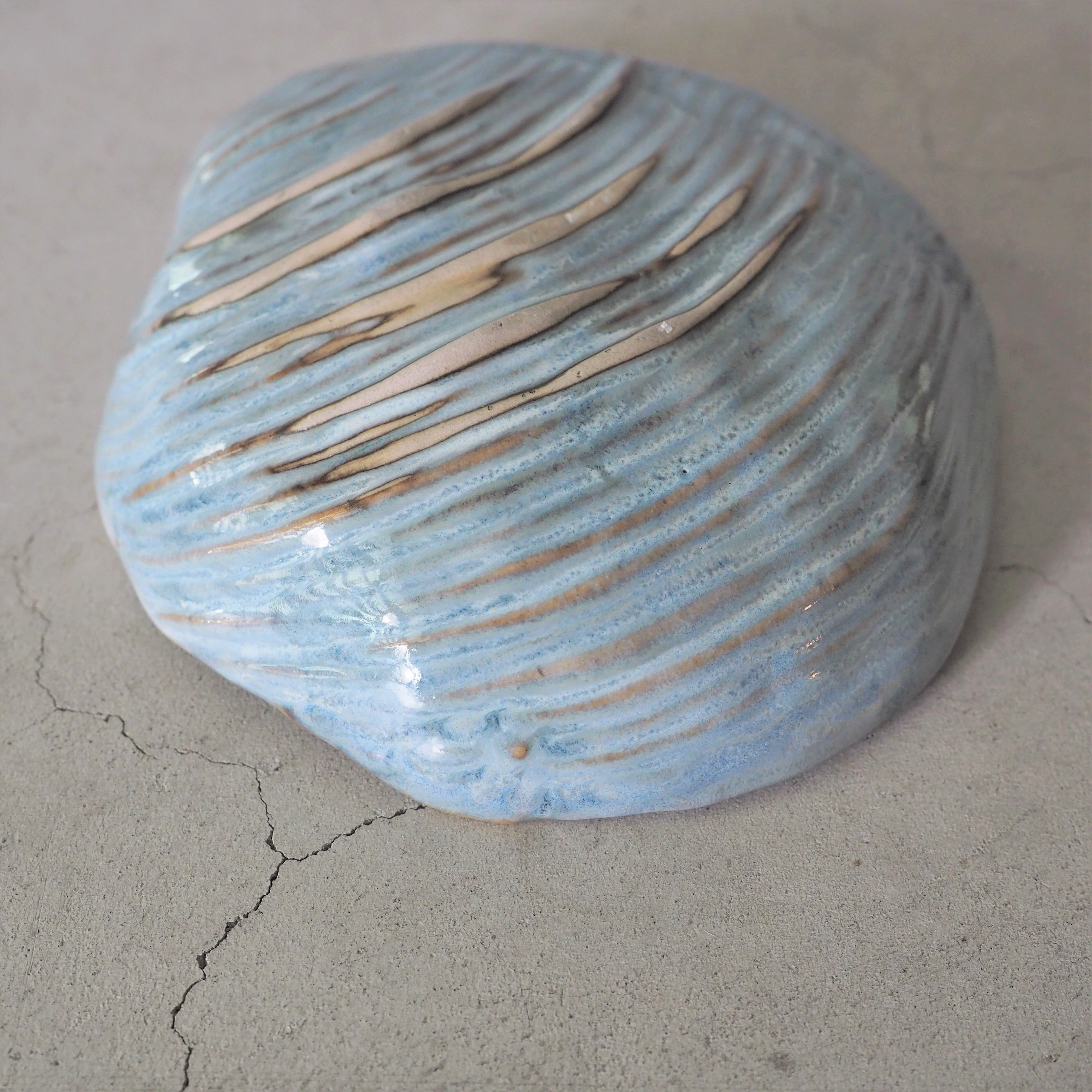 Shell Dish M OCT-051