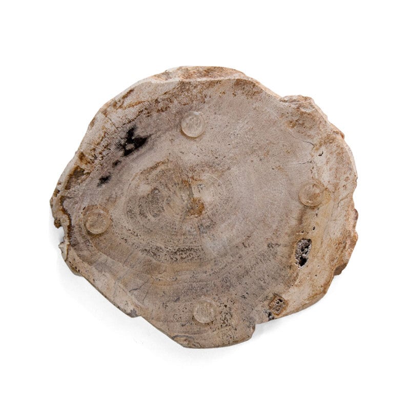 Wood Coaster Natural